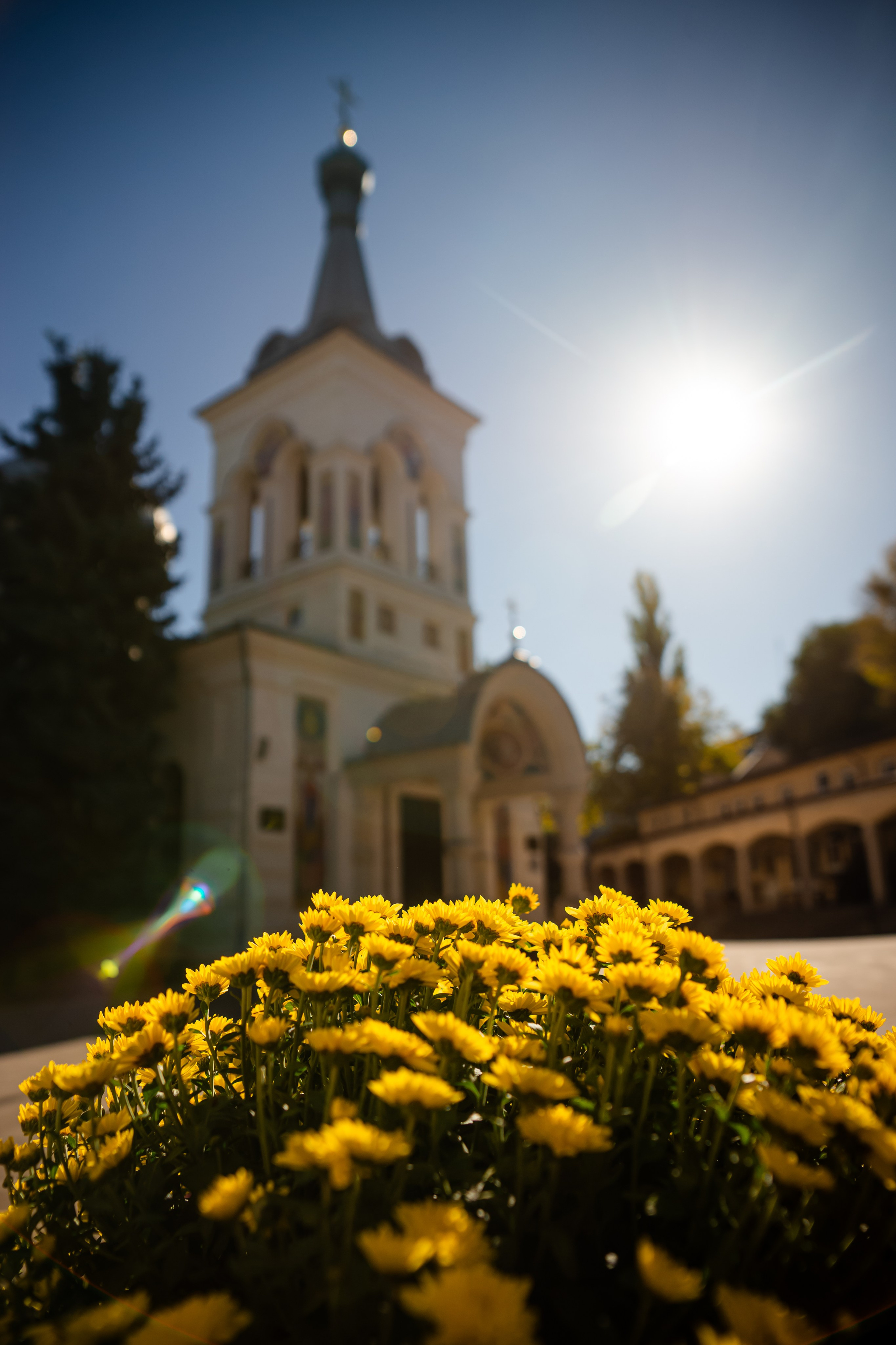 Кирилл. ФОТОГРАФ КИШИНЁВ.ПОРТРЕТ.ИНДИВИДУАЛЬНАЯ ФОТОСЕССИЯ.БИЗНЕС ПОРТРЕТ.СЕМЕЙНАЯ ФОТОСЕССИЯ.БЕРЕМЕННОСТЬ.КРЕЩЕНИЕ.МОЛДОВА, КИШИНЁВ