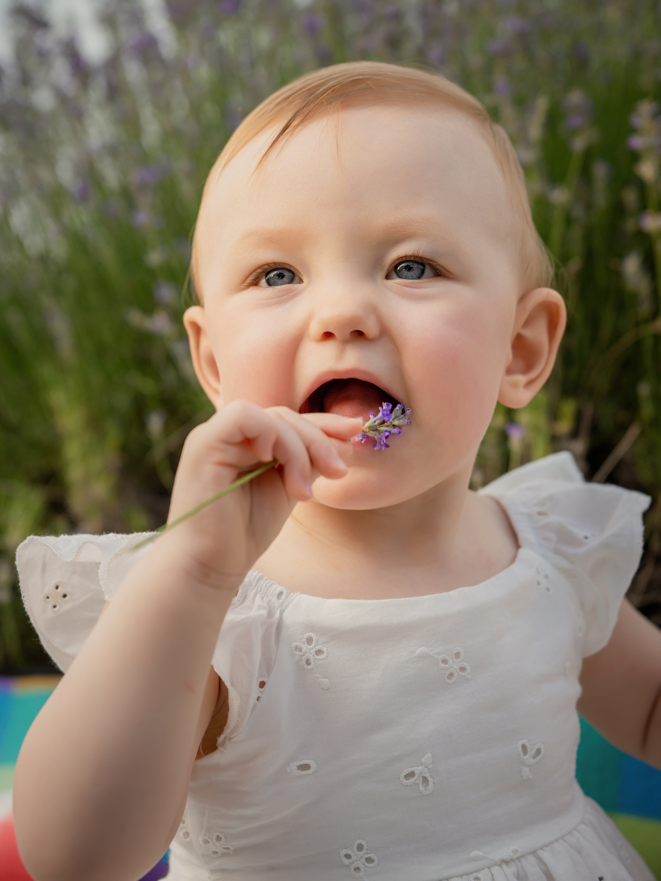Лавандовая история. ФОТОГРАФ КИШИНЁВ.ПОРТРЕТ.ИНДИВИДУАЛЬНАЯ ФОТОСЕССИЯ.БИЗНЕС ПОРТРЕТ.СЕМЕЙНАЯ ФОТОСЕССИЯ.БЕРЕМЕННОСТЬ.КРЕЩЕНИЕ.МОЛДОВА, КИШИНЁВ