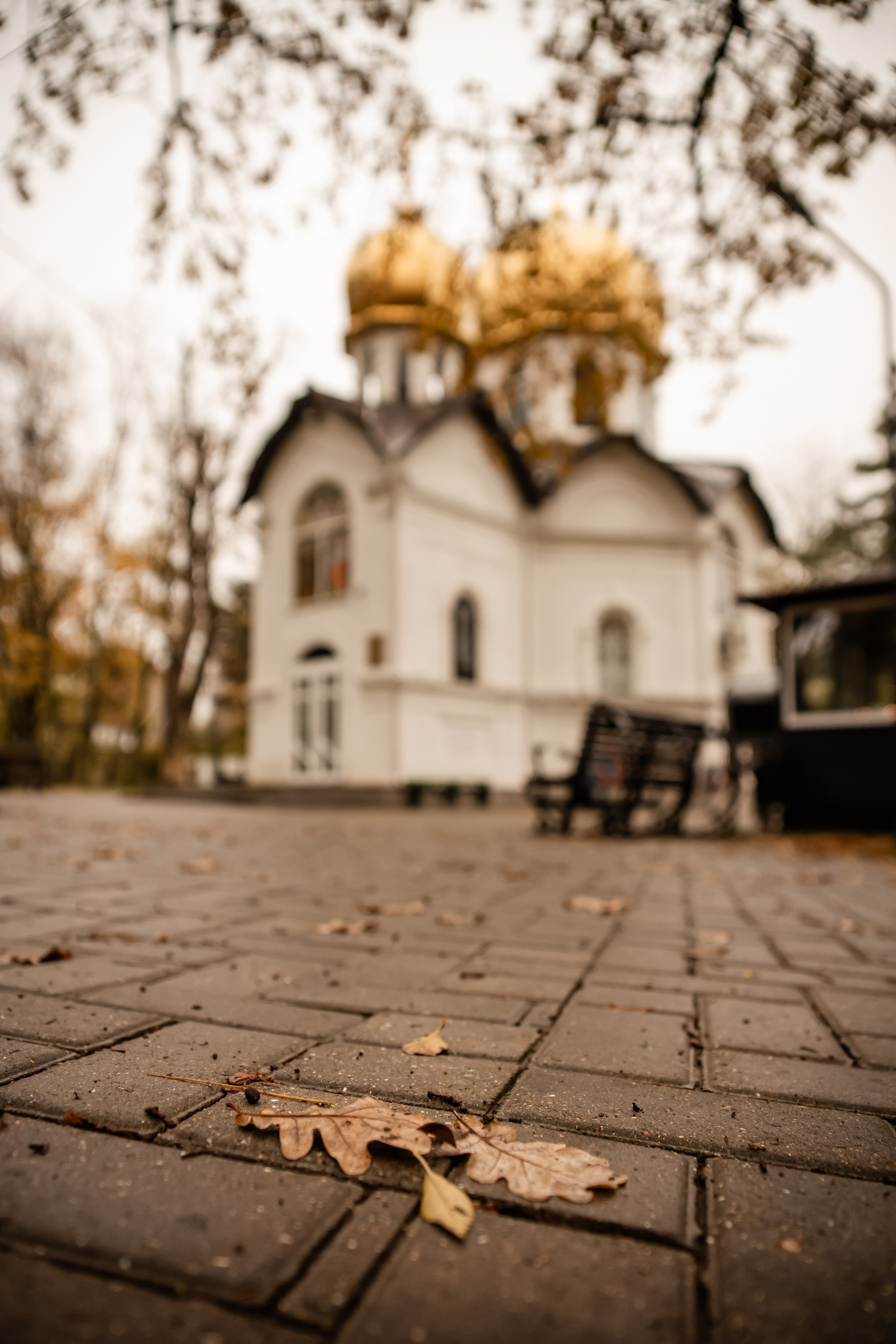 Эмма. ФОТОГРАФ КИШИНЁВ.ПОРТРЕТ.ИНДИВИДУАЛЬНАЯ ФОТОСЕССИЯ.БИЗНЕС ПОРТРЕТ.СЕМЕЙНАЯ ФОТОСЕССИЯ.БЕРЕМЕННОСТЬ.КРЕЩЕНИЕ.МОЛДОВА, КИШИНЁВ