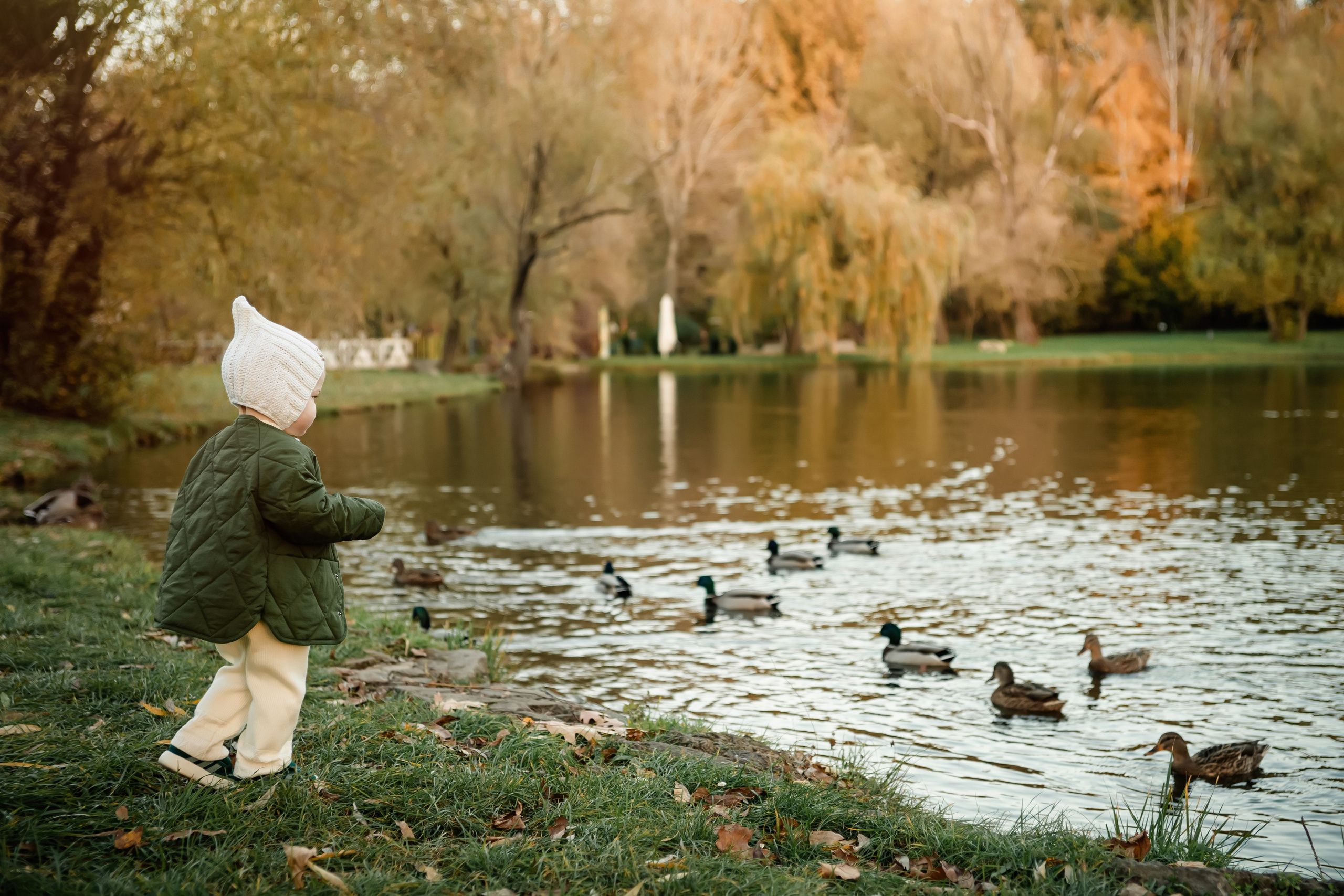 Осенняя прогулка. ФОТОГРАФ КИШИНЁВ.ПОРТРЕТ.ИНДИВИДУАЛЬНАЯ ФОТОСЕССИЯ.БИЗНЕС ПОРТРЕТ.СЕМЕЙНАЯ ФОТОСЕССИЯ.БЕРЕМЕННОСТЬ.КРЕЩЕНИЕ.МОЛДОВА, КИШИНЁВ