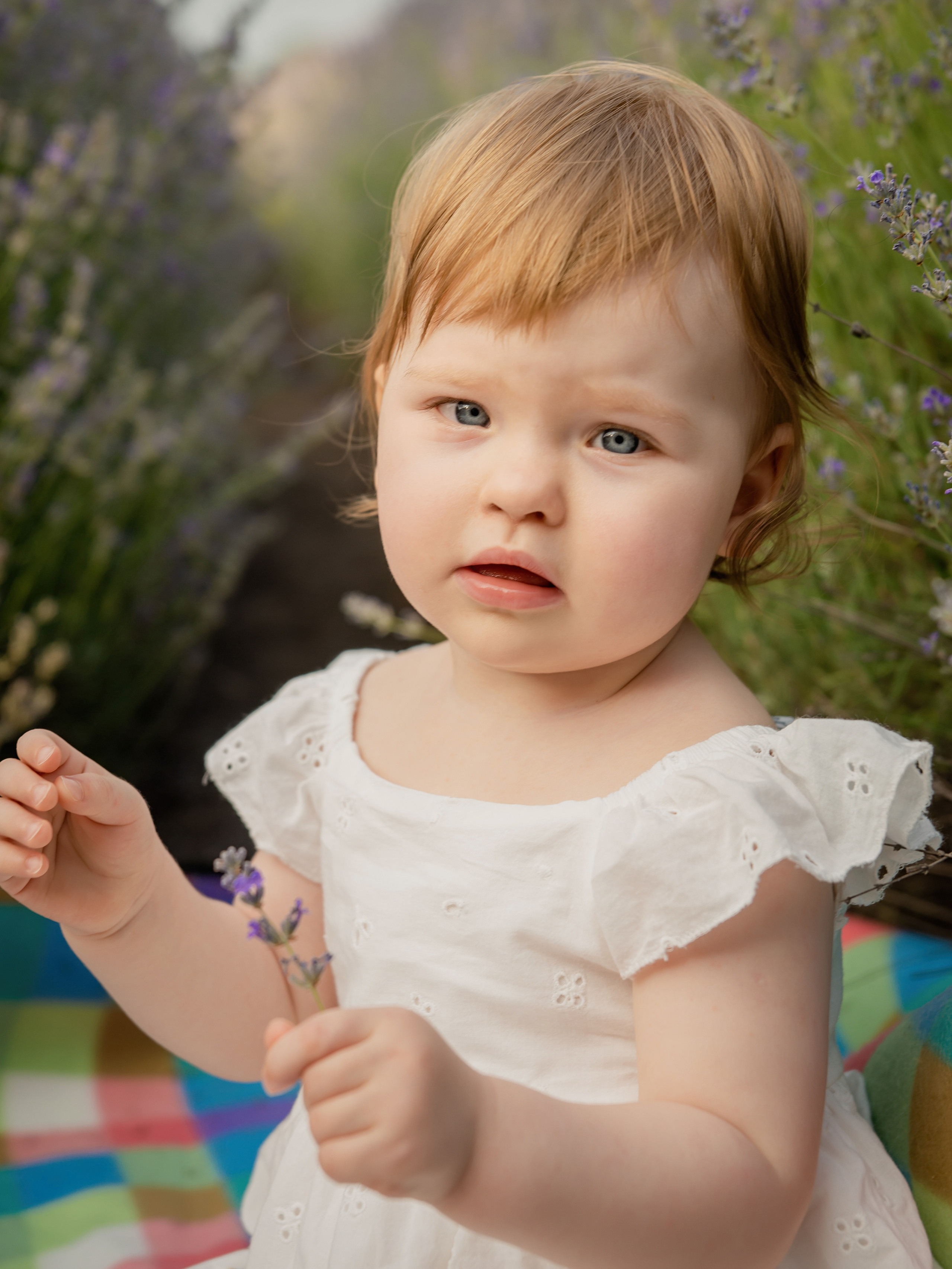 Лавандовая история. ФОТОГРАФ КИШИНЁВ.ПОРТРЕТ.ИНДИВИДУАЛЬНАЯ ФОТОСЕССИЯ.БИЗНЕС ПОРТРЕТ.СЕМЕЙНАЯ ФОТОСЕССИЯ.БЕРЕМЕННОСТЬ.КРЕЩЕНИЕ.МОЛДОВА, КИШИНЁВ