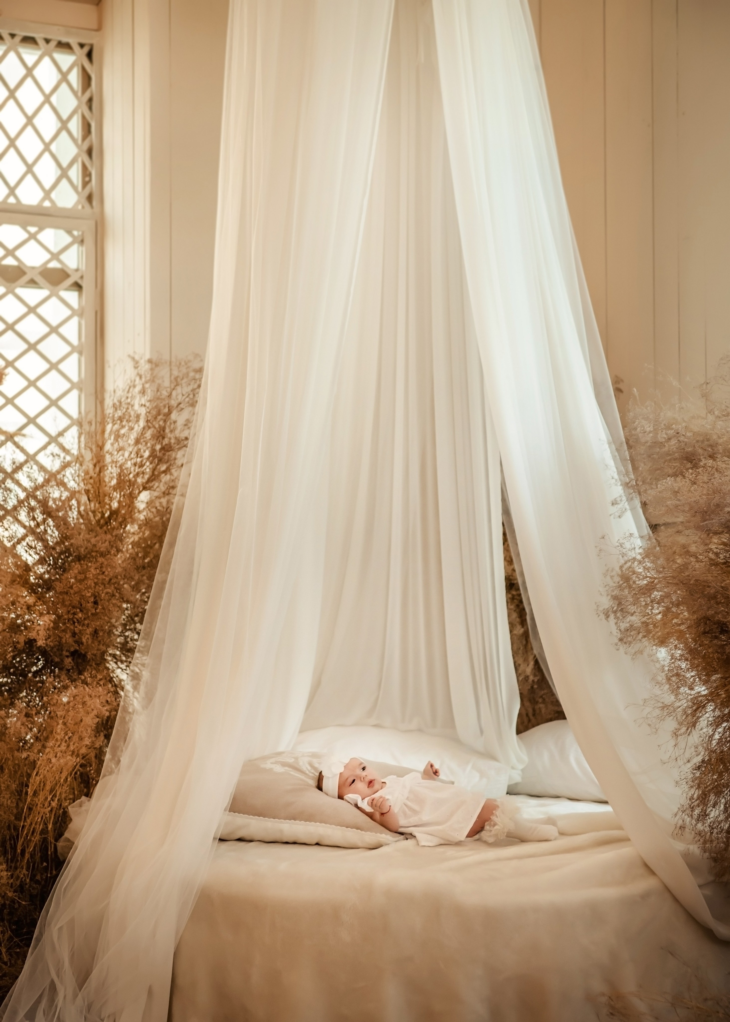 Семейная в студии. ФОТОГРАФ КИШИНЁВ.ПОРТРЕТ.ИНДИВИДУАЛЬНАЯ ФОТОСЕССИЯ.БИЗНЕС ПОРТРЕТ.СЕМЕЙНАЯ ФОТОСЕССИЯ.БЕРЕМЕННОСТЬ.КРЕЩЕНИЕ.МОЛДОВА, КИШИНЁВ