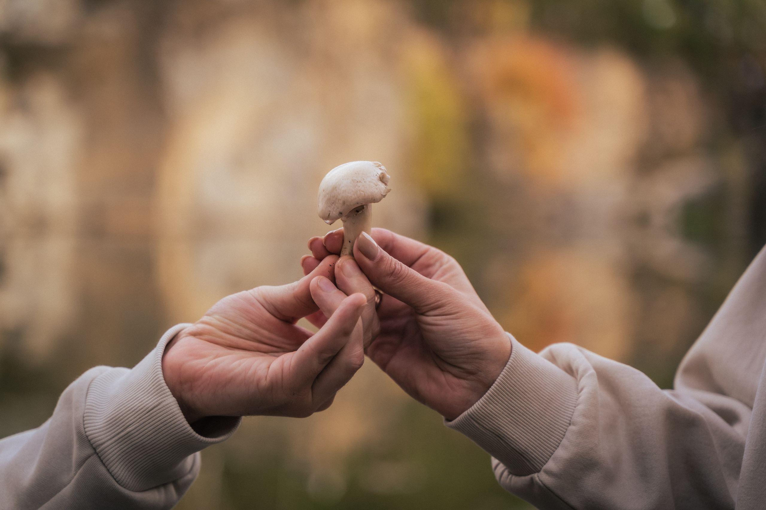 Сімейна фотосесія на природі біля Коростишівського карєру. Сімейний фотограф Київ Наталія Шкаврон