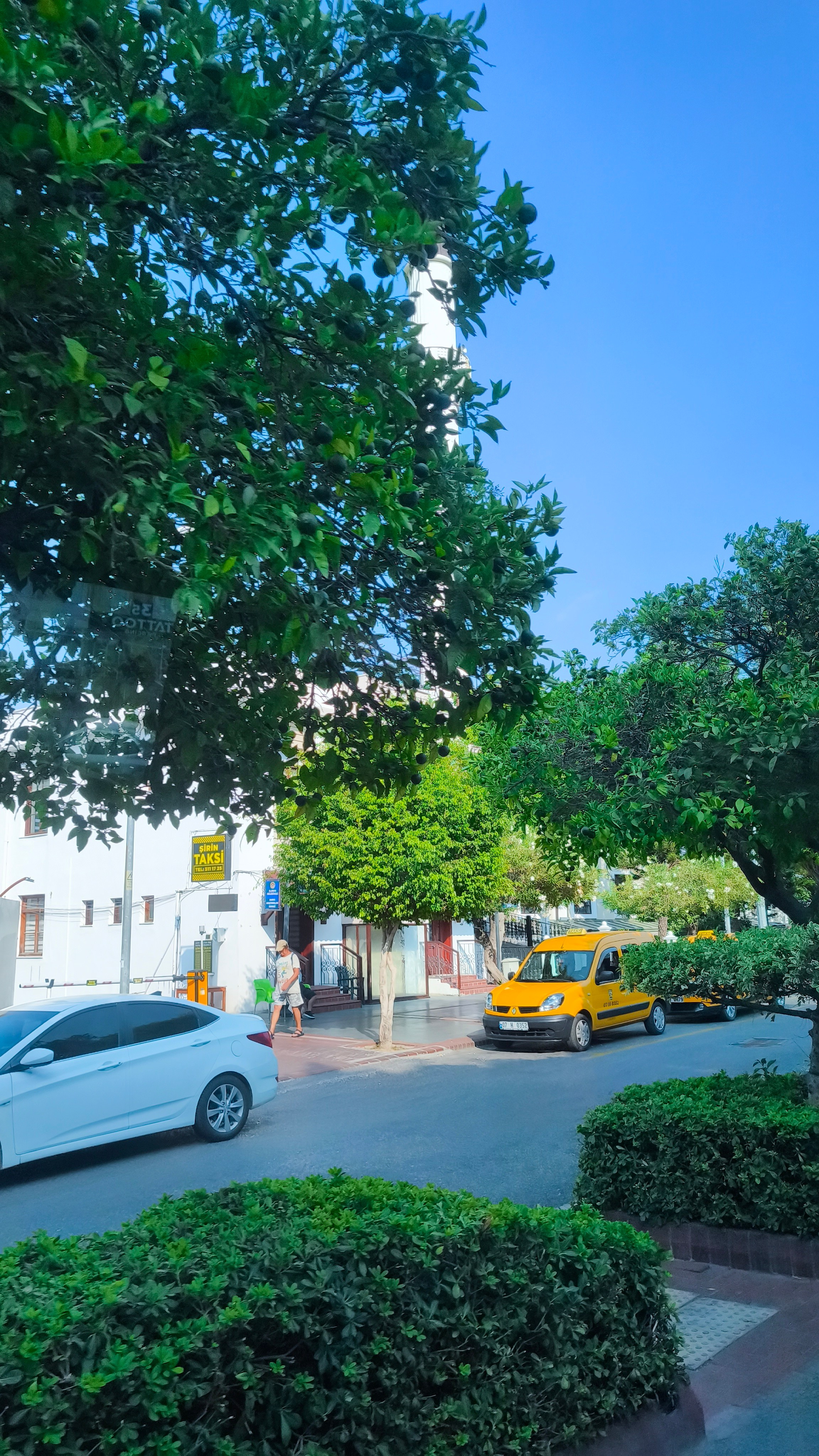 Морські шпалери 2025. Сімейний фотограф Київ Наталія Шкаврон