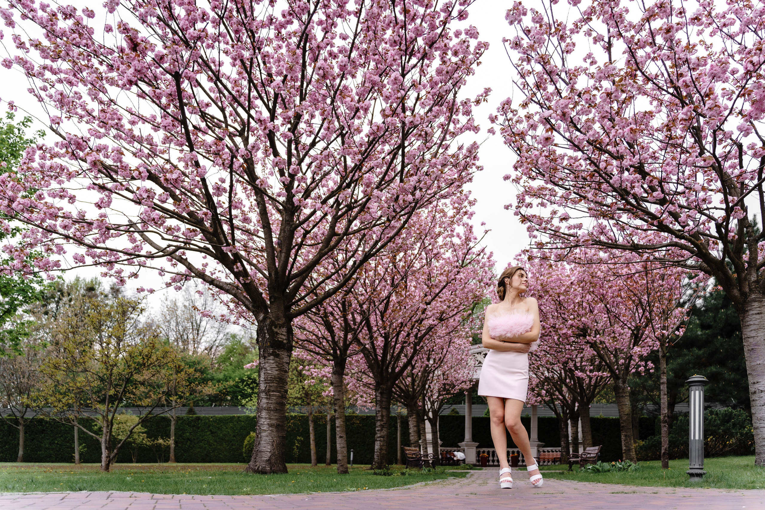 Фотосесія в сакурах. Family photographer in Kiev Natalia Shkavron