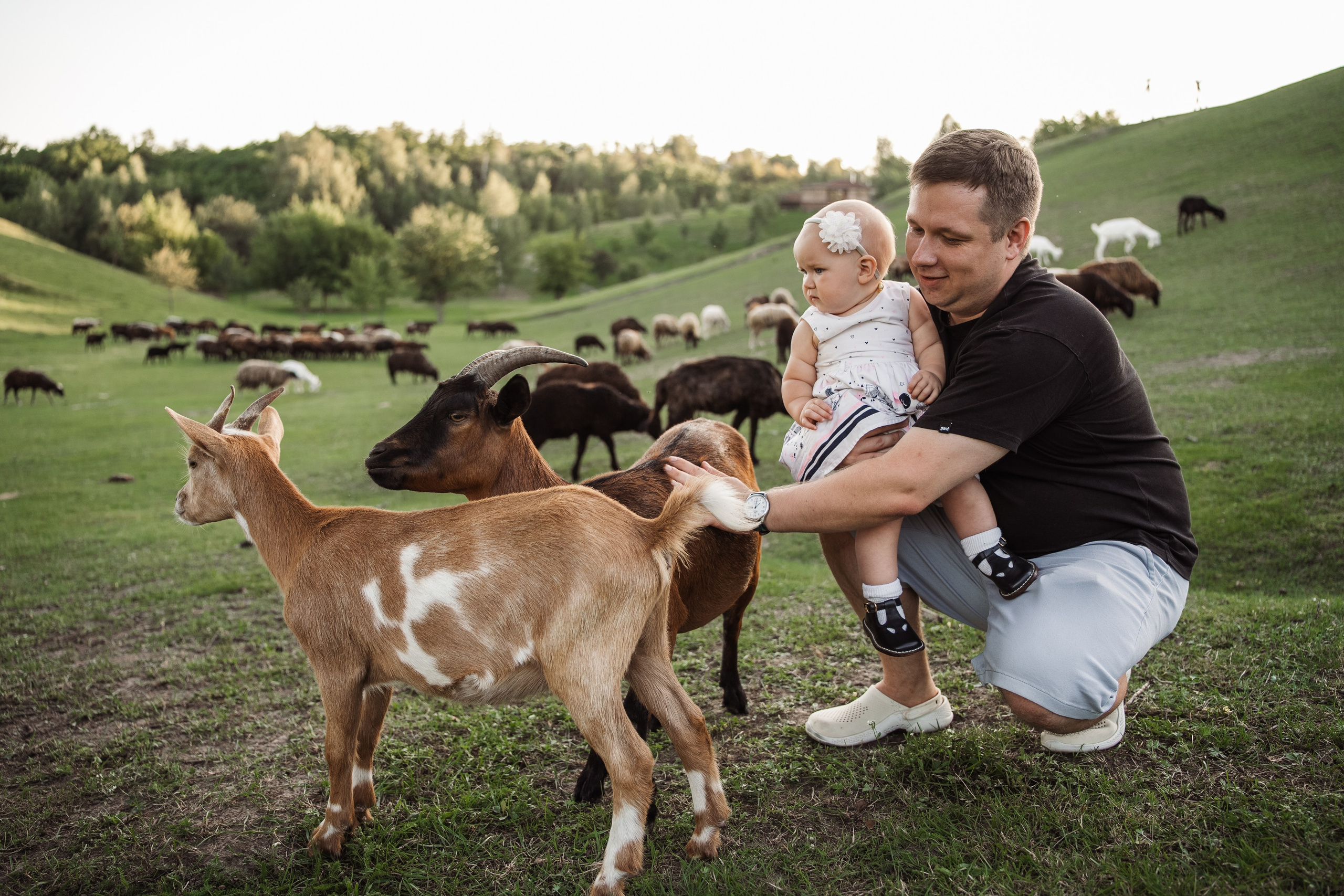 Святкування 1-го дня народження на овечій фермі. Family photographer in Kiev Natalia Shkavron