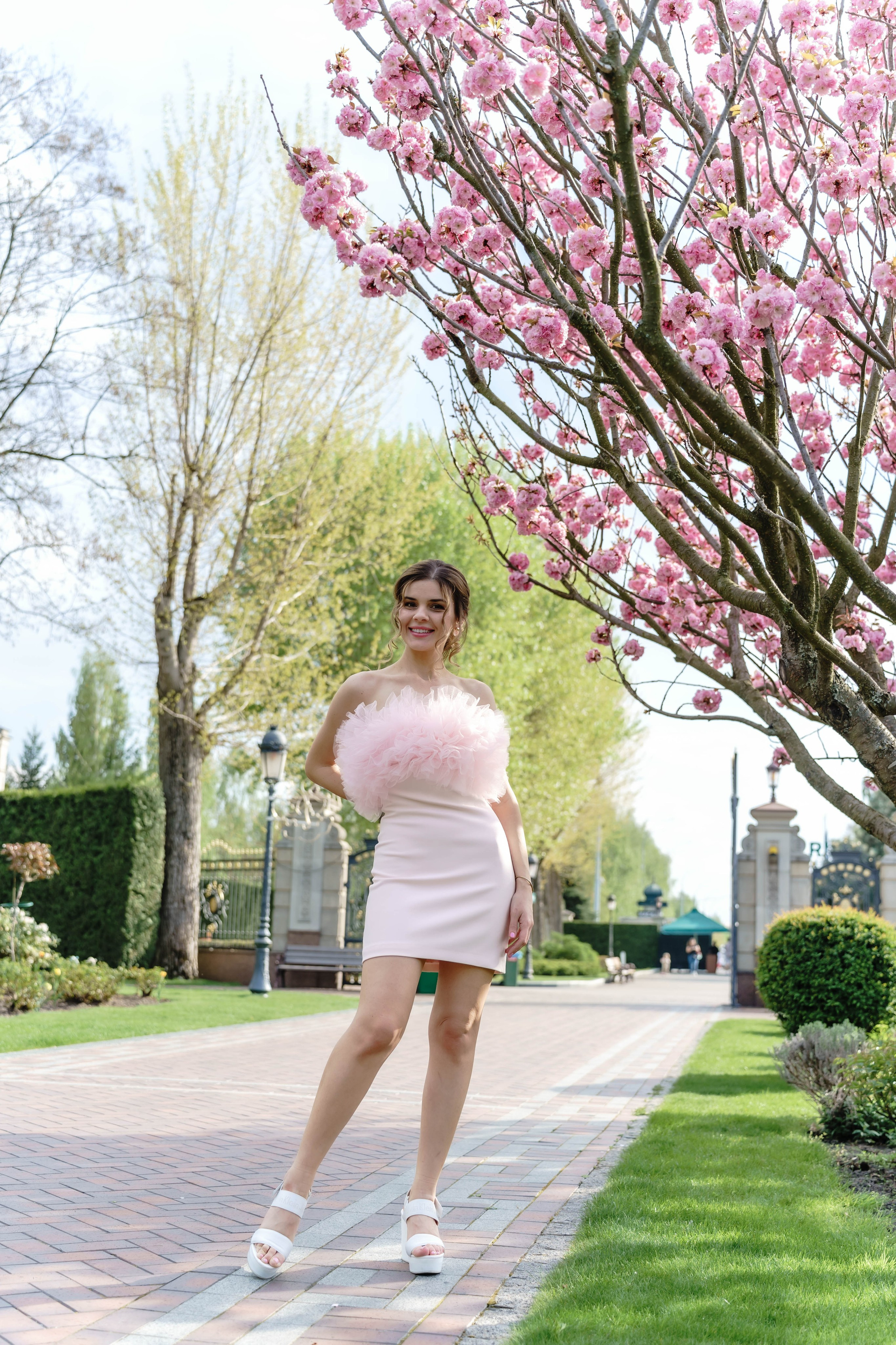 Фотосесія в сакурах. Family photographer in Kiev Natalia Shkavron