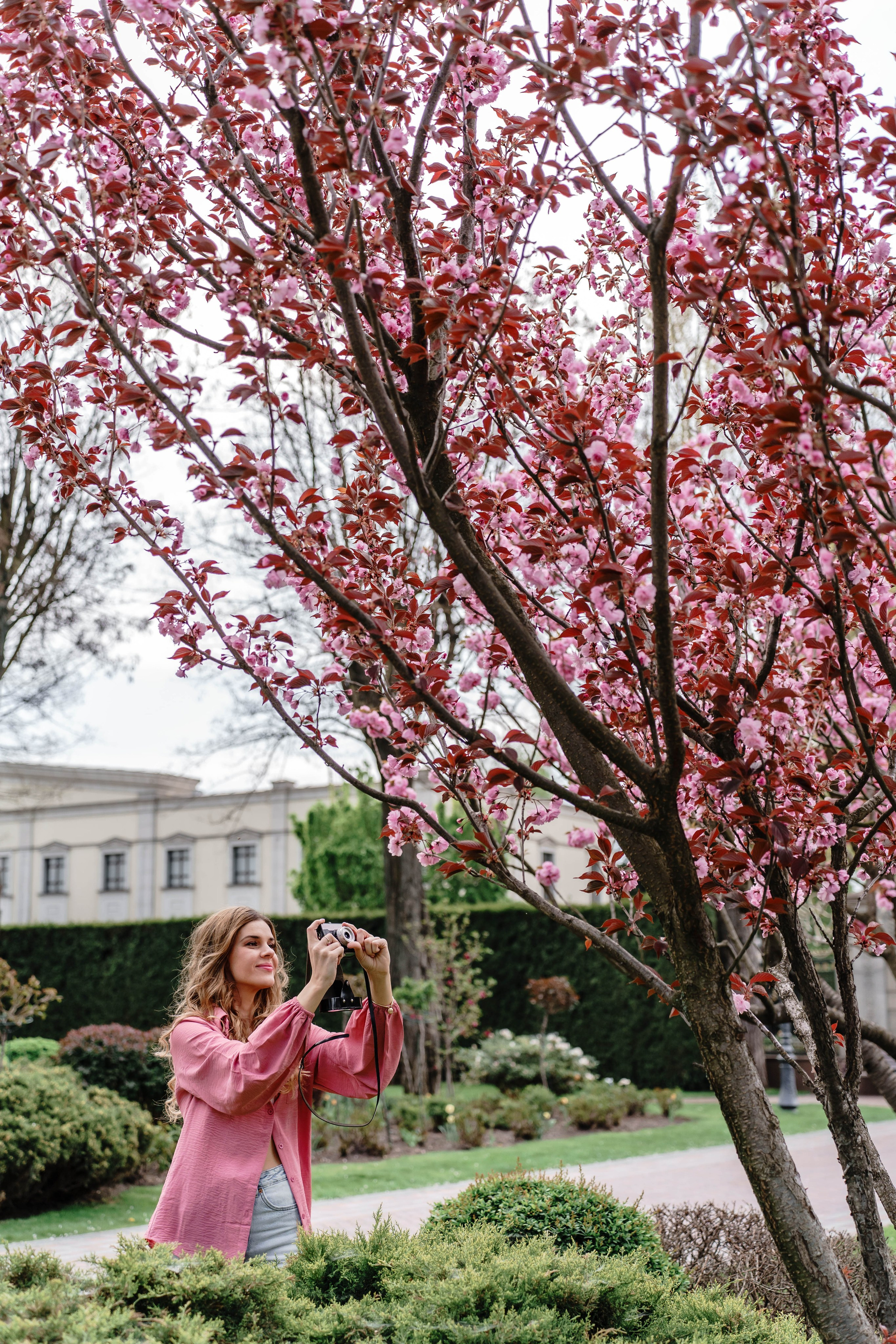 Фотосесія в сакурах. Family photographer in Kiev Natalia Shkavron