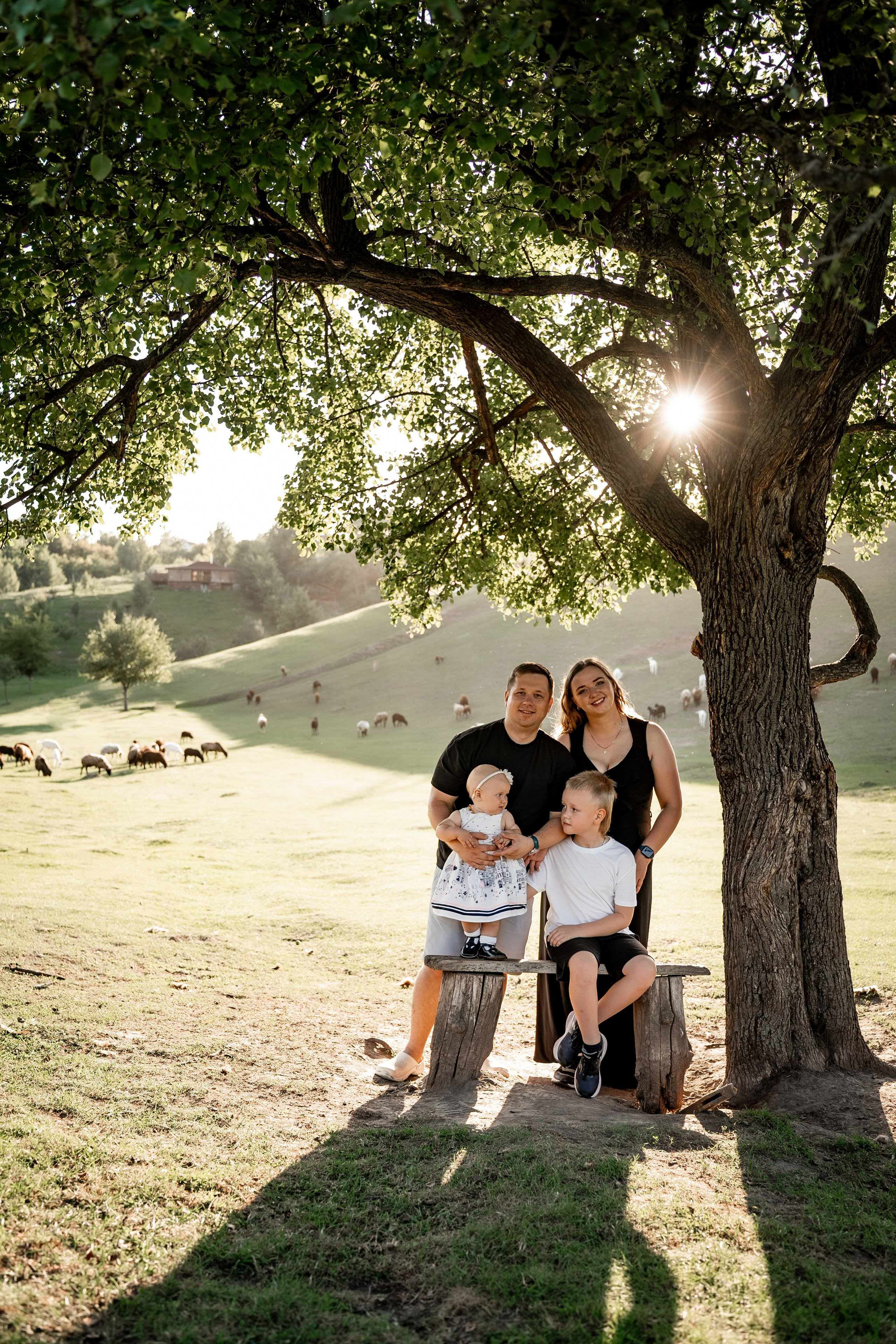Сімейна фотосесія на овечій фермі. Сімейний фотограф Київ Наталія Шкаврон