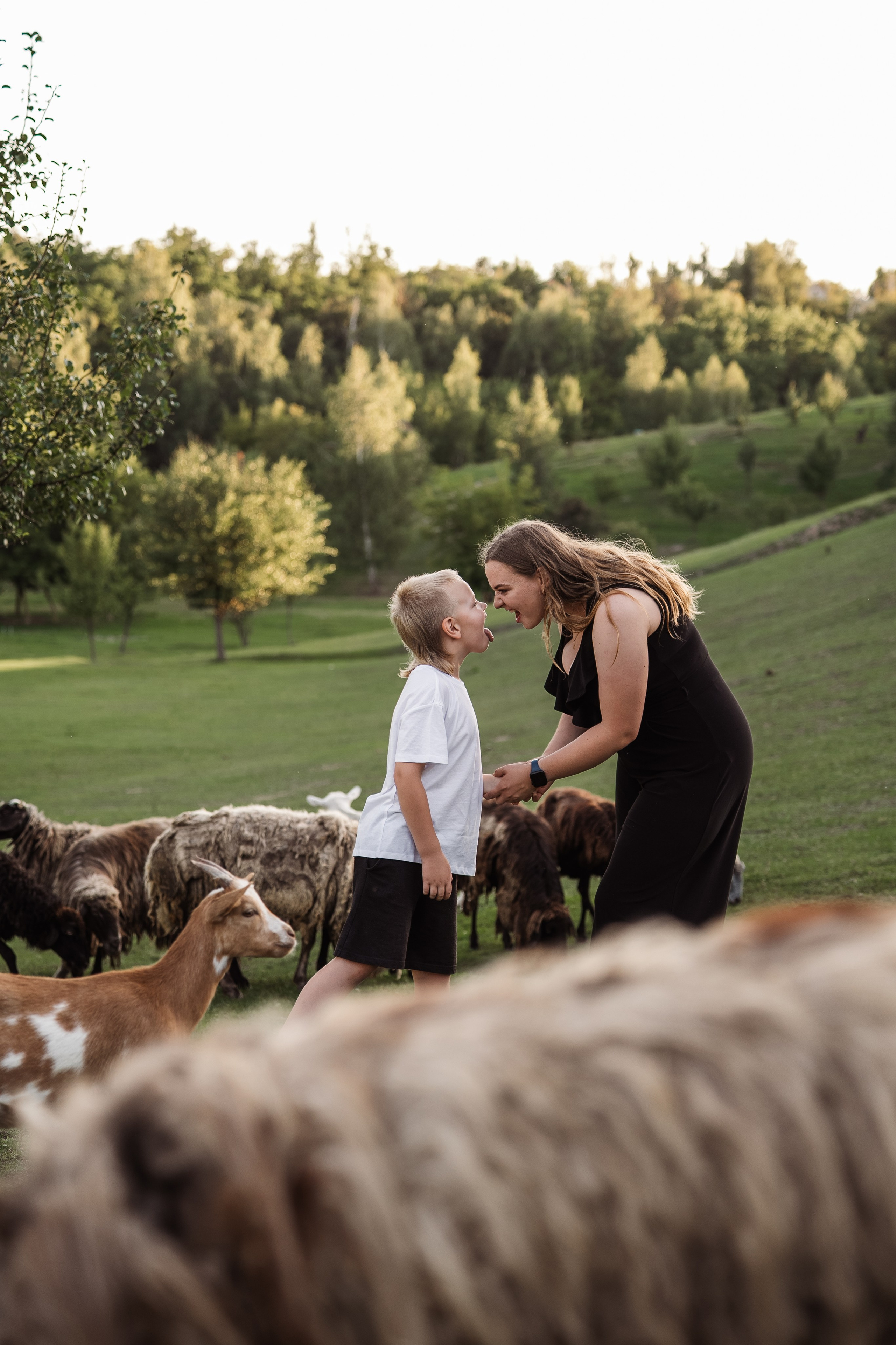 Святкування 1-го дня народження на овечій фермі. Family photographer in Kiev Natalia Shkavron