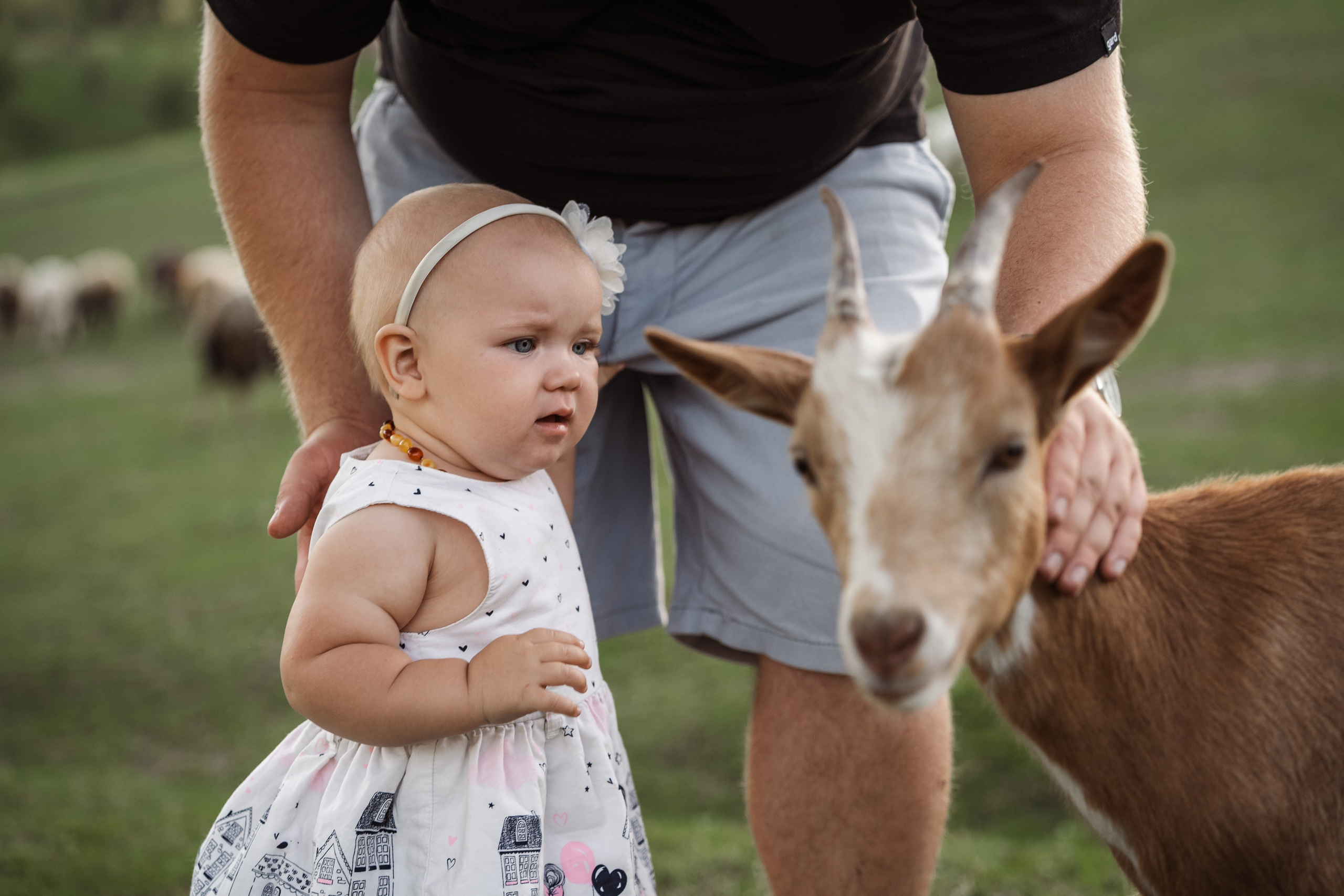Святкування 1-го дня народження на овечій фермі. Family photographer in Kiev Natalia Shkavron