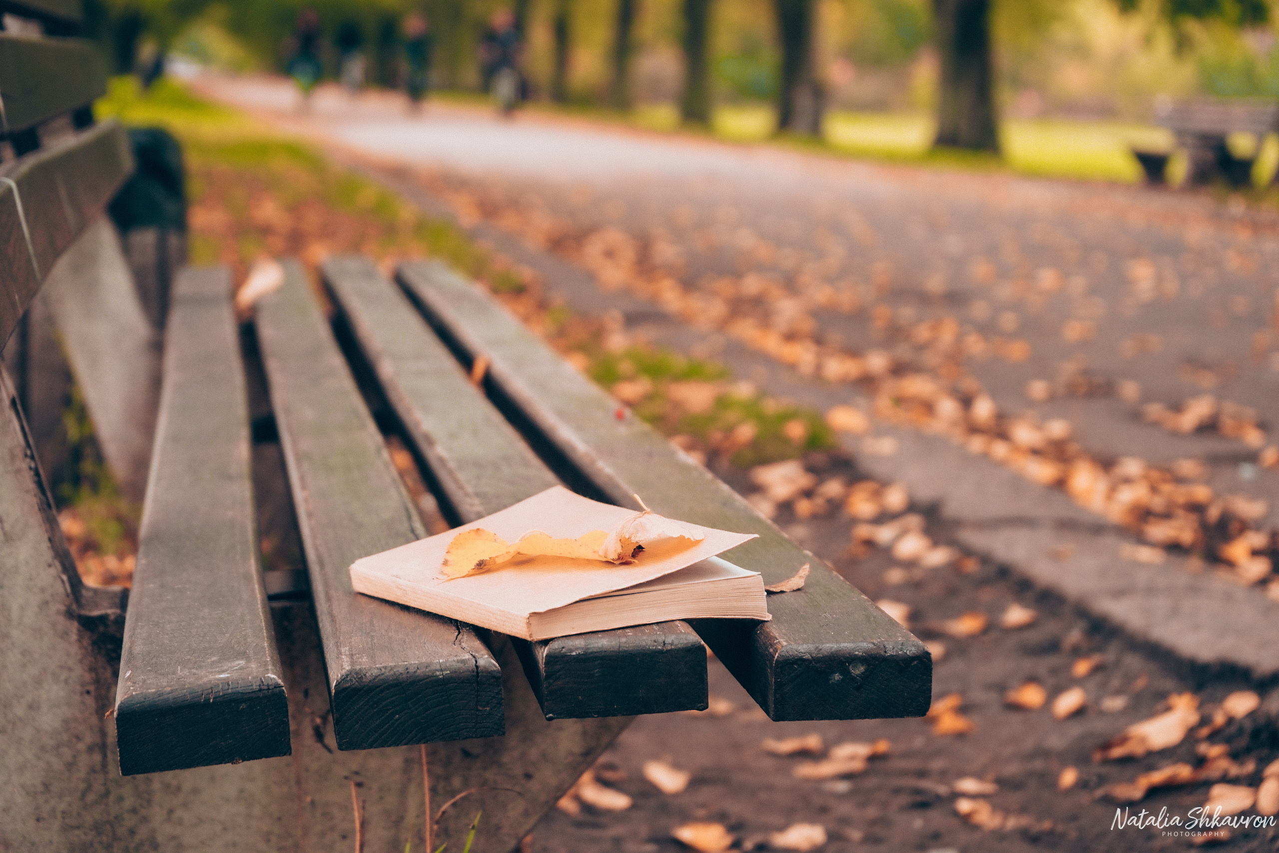 Ідеї для осінньої фотосесії. Сімейний фотограф Київ Наталія Шкаврон