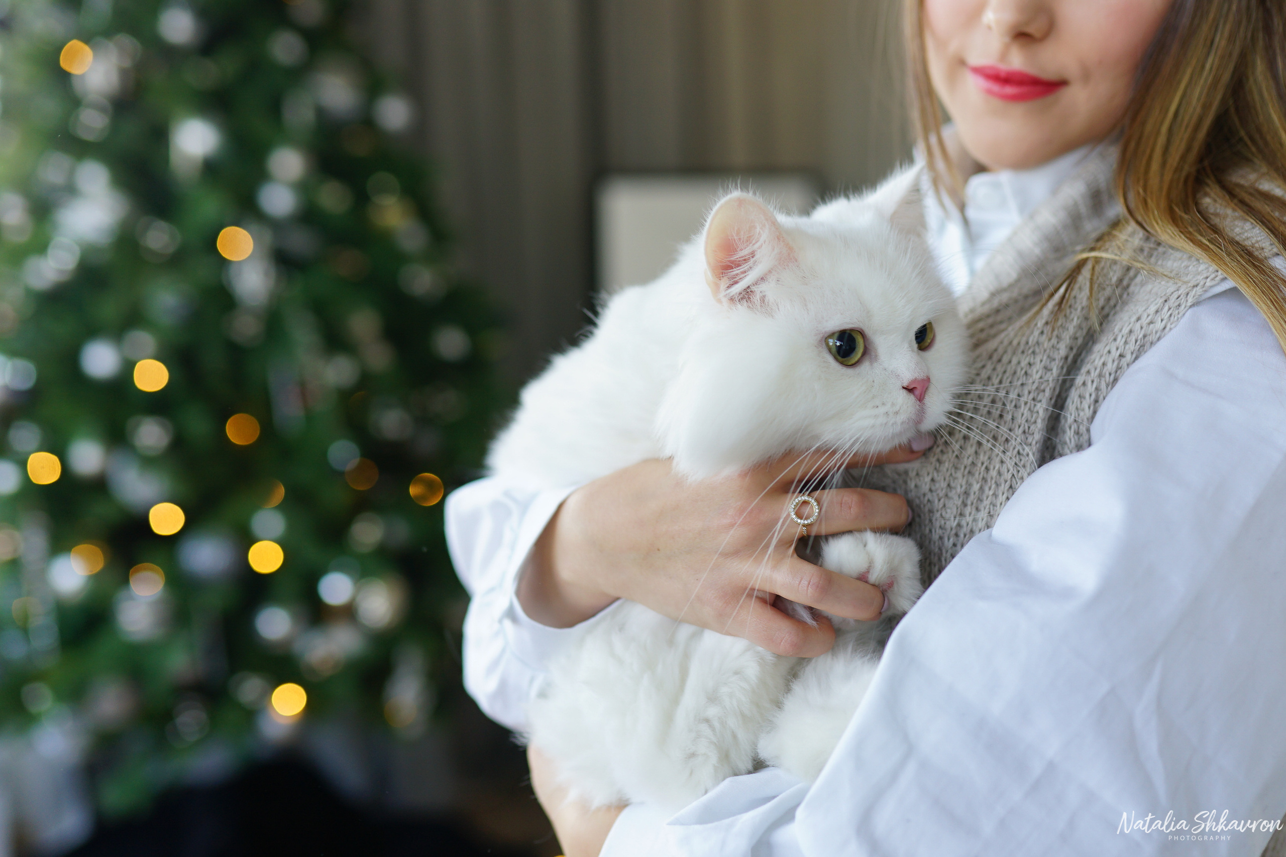 семейная новогодняя фотосессия на кухне, фотограф киев, фотограф київ, сімейний фотограф, сімейна фотосесія київ
