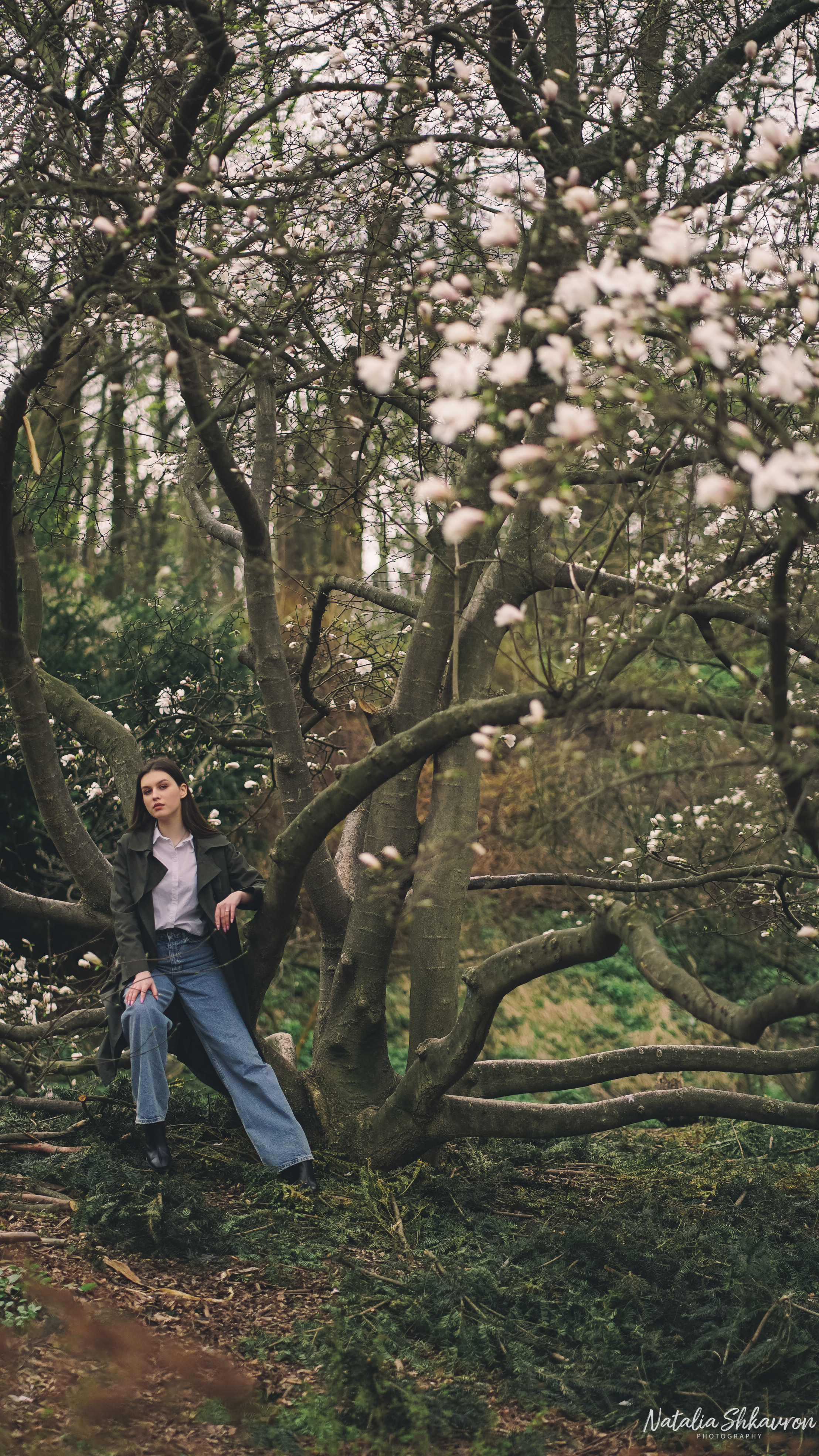 Весняна фотосесія в магноліях. Сімейний фотограф Київ Наталія Шкаврон