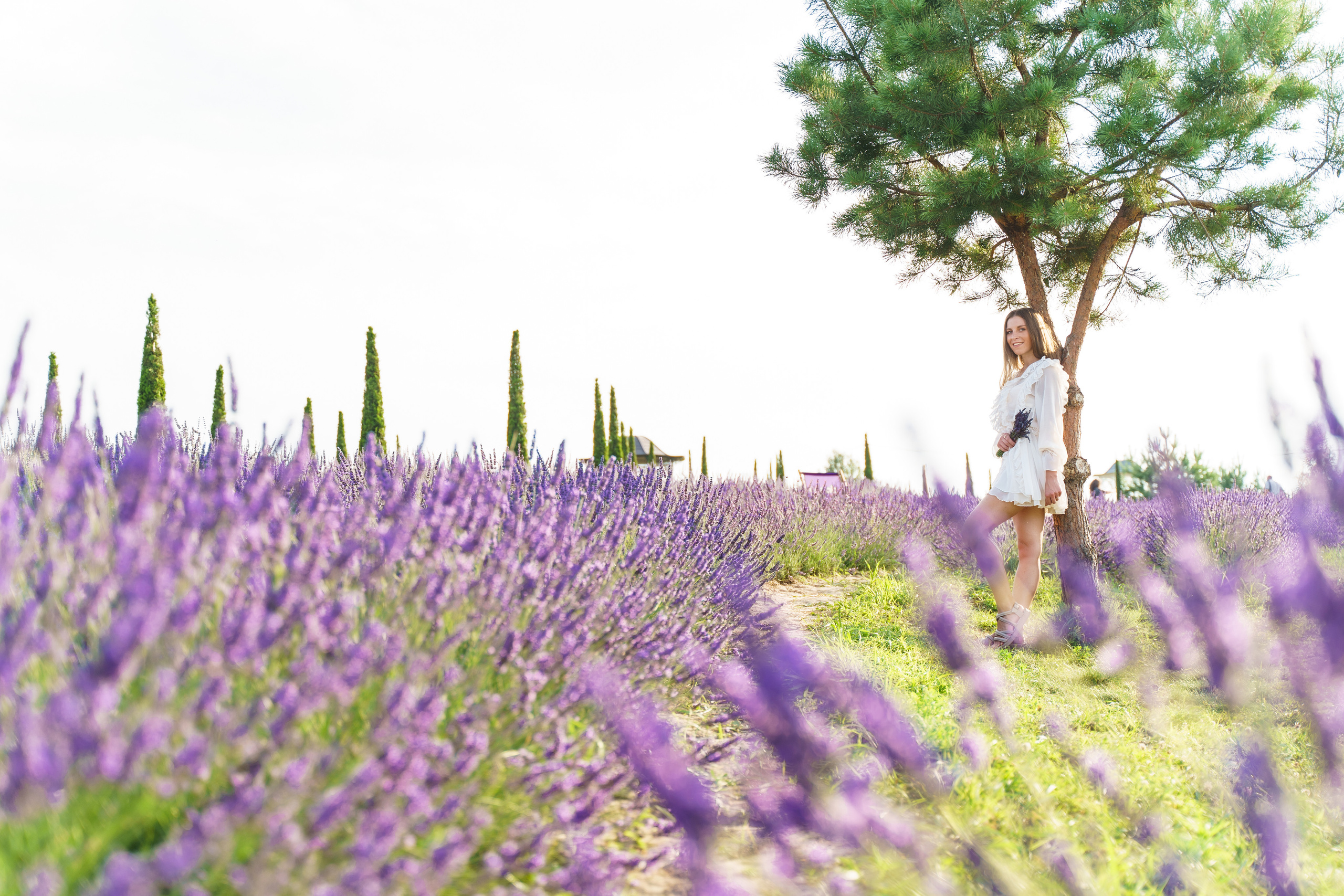 Фотосесія в лаванді у Добропарку. Family photographer in Kiev Natalia Shkavron