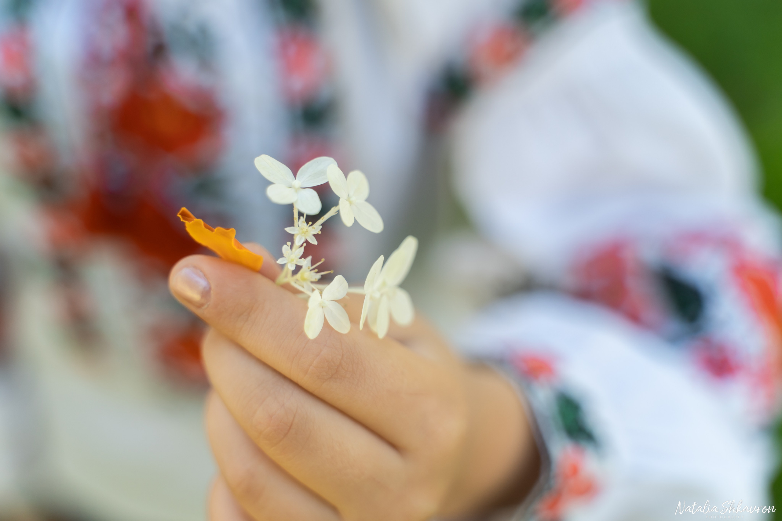 1 вересня. Сімейний фотограф Київ Наталія Шкаврон