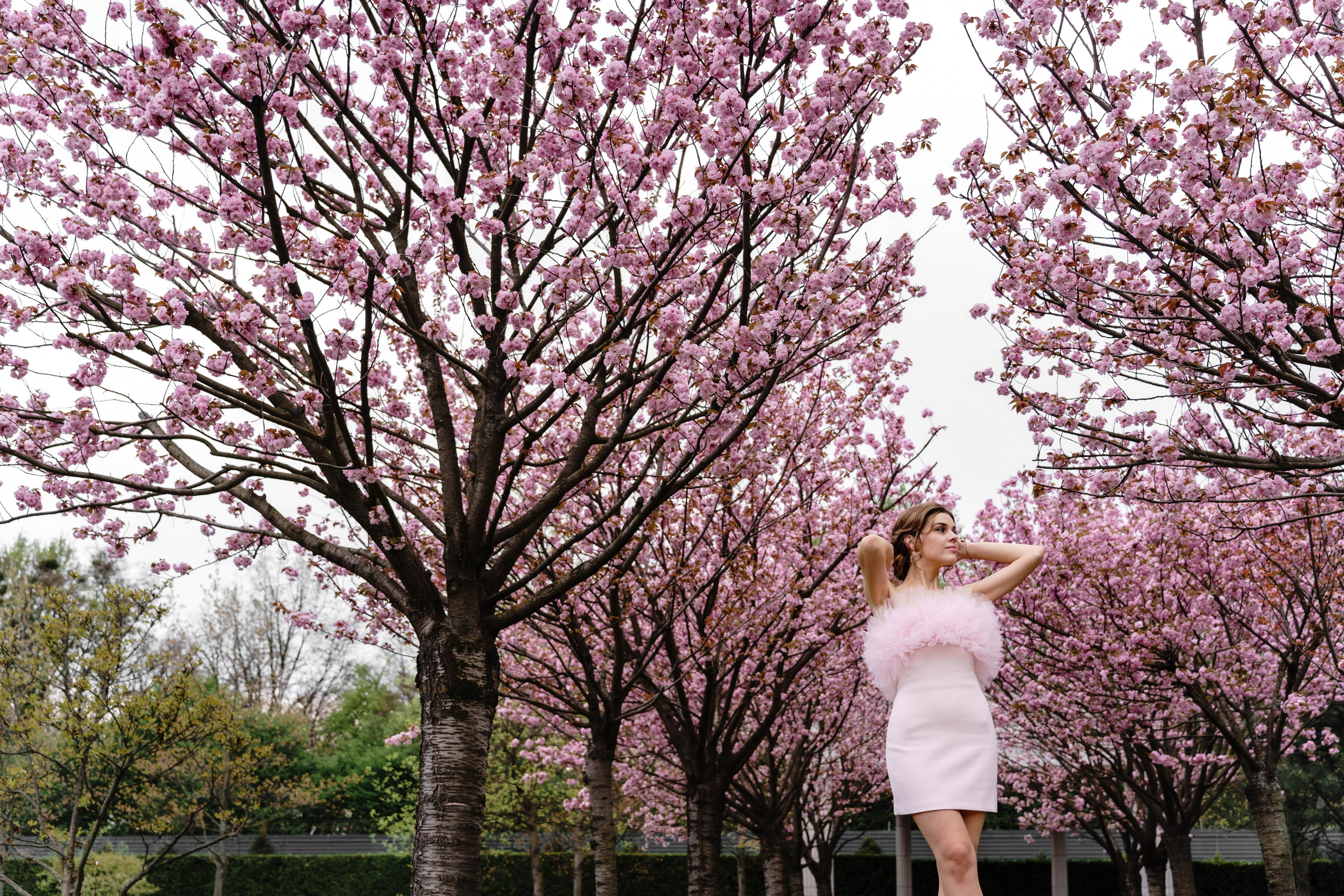 Фотосесія в сакурах. Family photographer in Kiev Natalia Shkavron