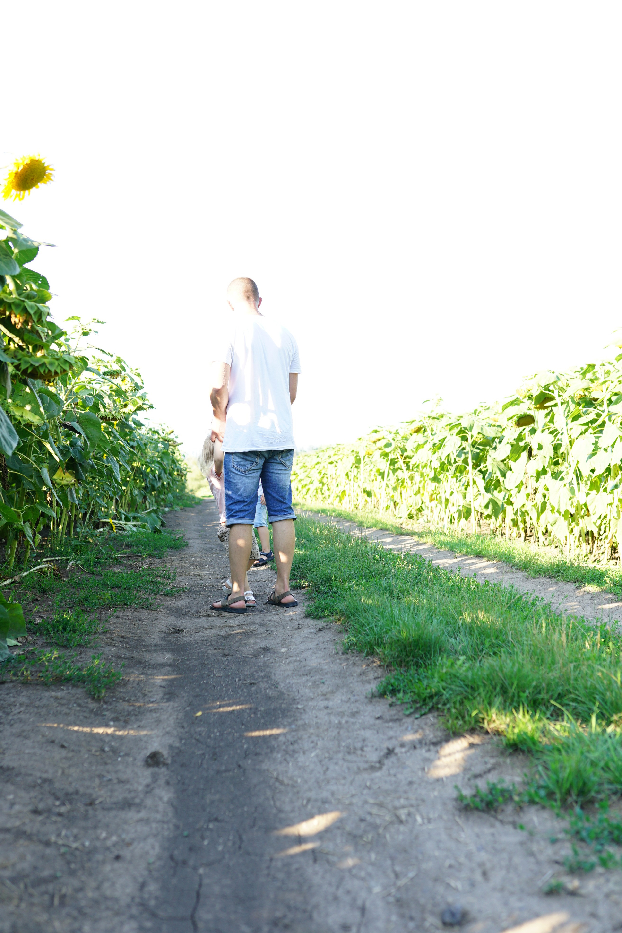 Сімейна фотосесія з кавунами. Family photographer in Kiev Natalia Shkavron