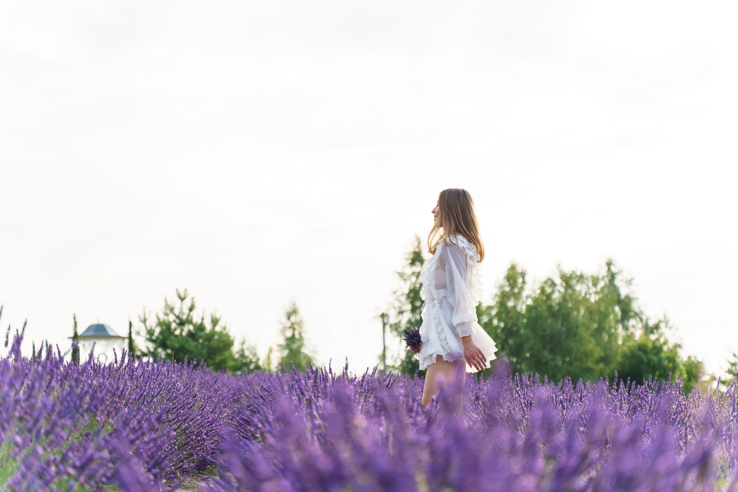 Фотосесія в лаванді у Добропарку. Family photographer in Kiev Natalia Shkavron