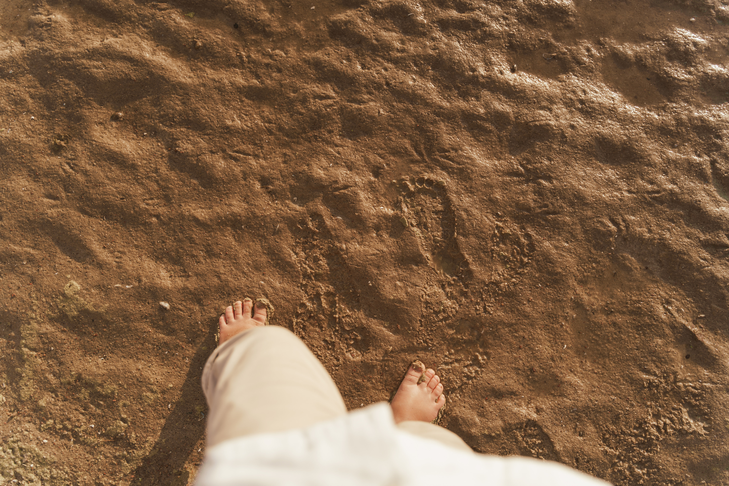 Фотосесія вагітності біля Київського моря. Сімейний фотограф Київ Наталія Шкаврон