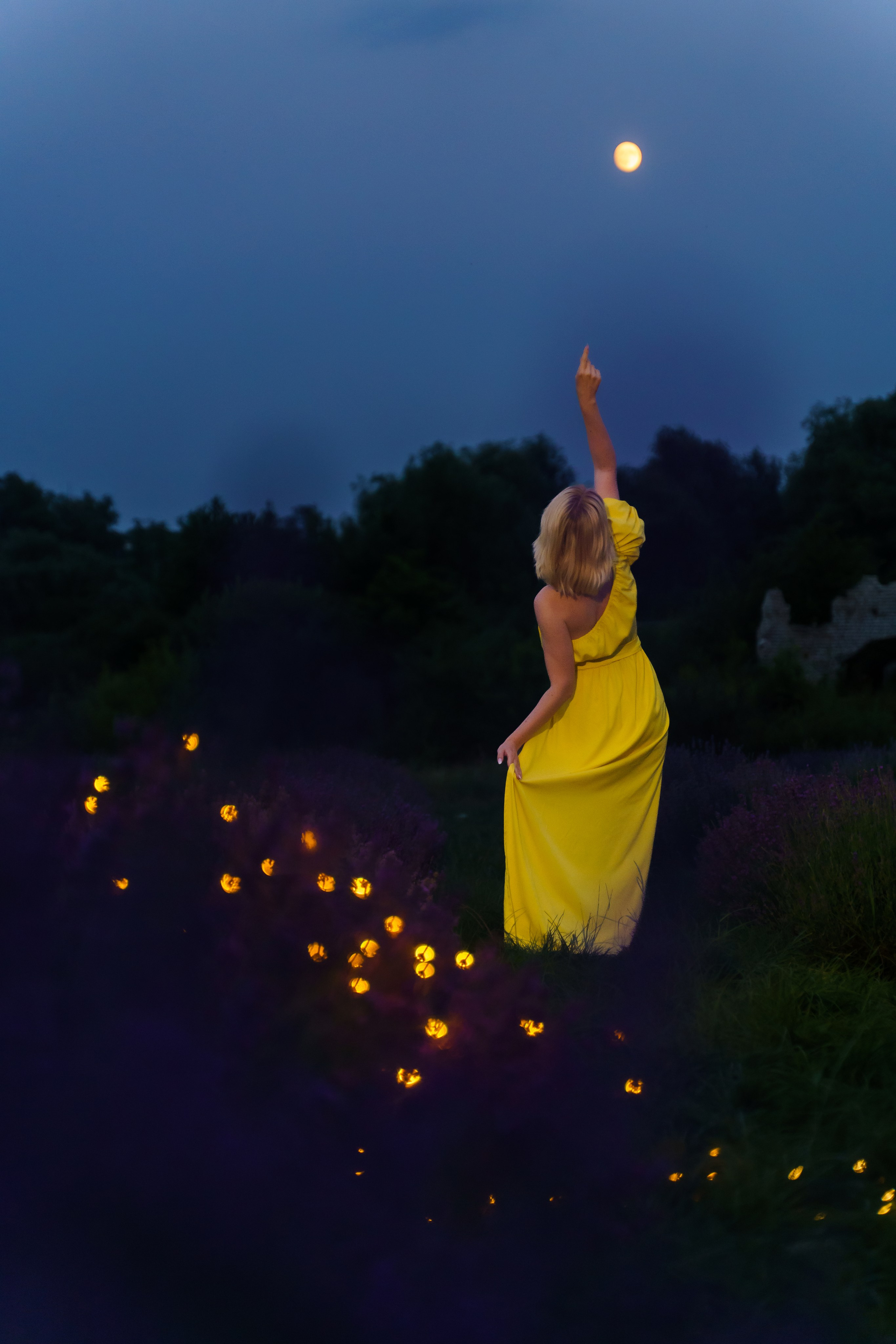 лавандове поле заставка