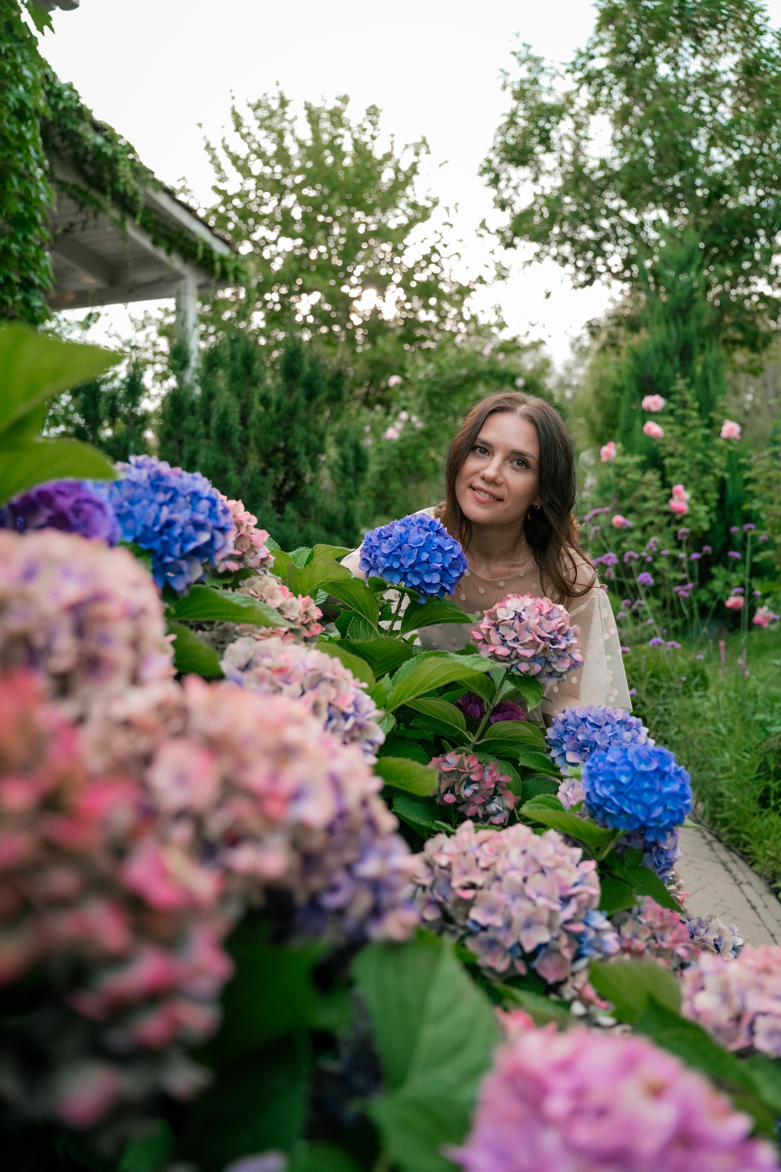 Фотосеся індивідуальна в гортензіях. Сімейний фотограф Київ Наталія Шкаврон