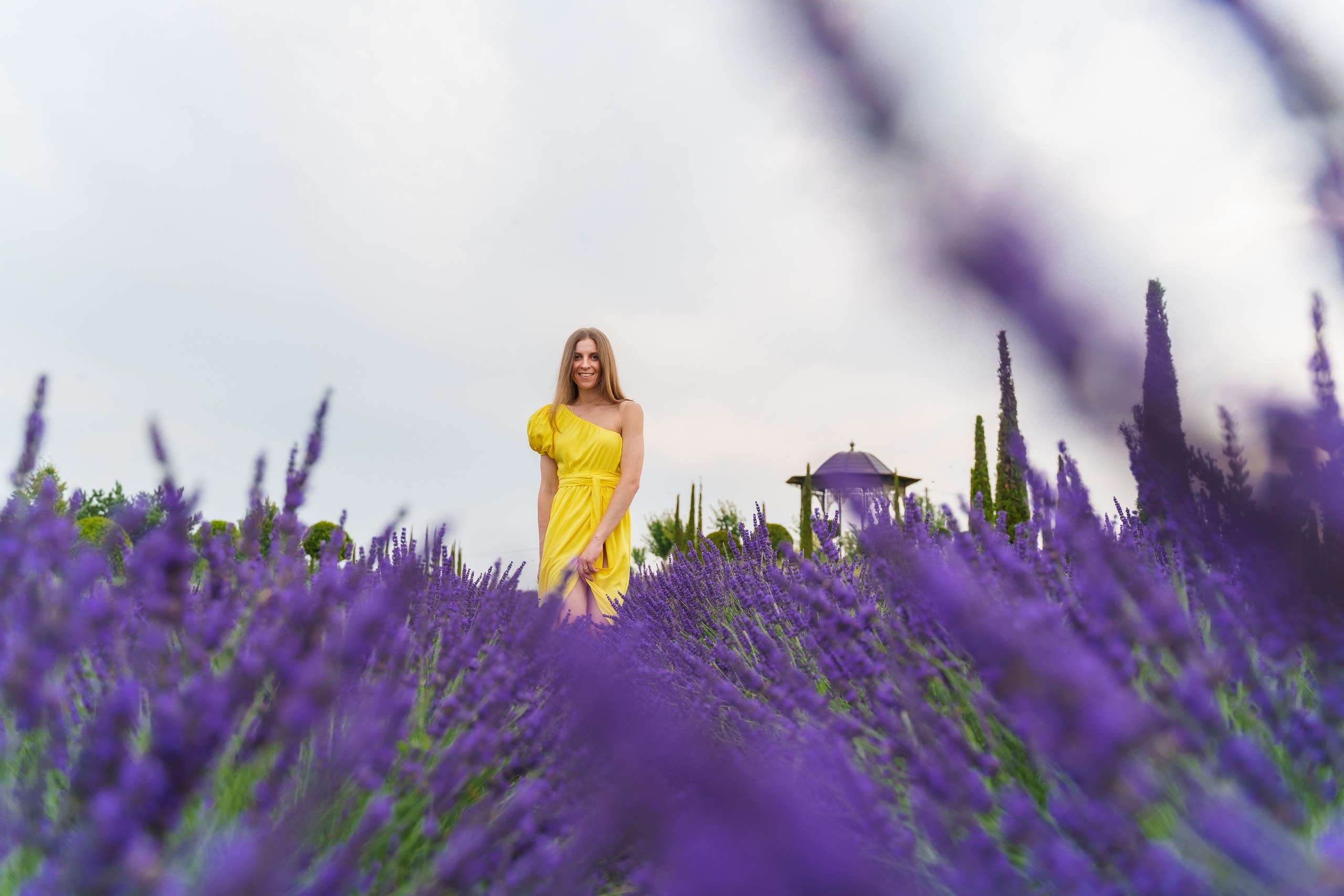 Фотосесія в лаванді у Добропарку. Family photographer in Kiev Natalia Shkavron