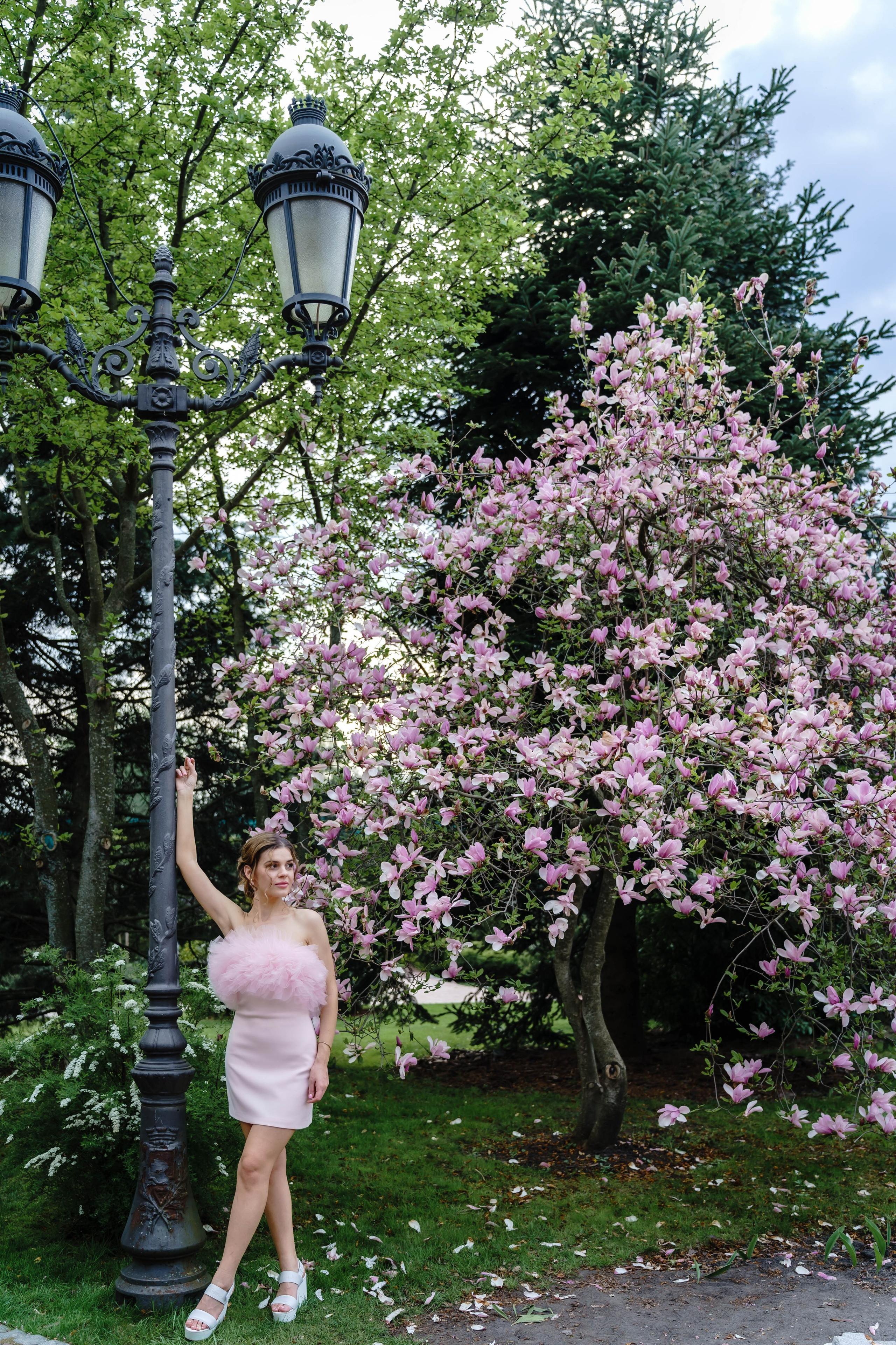 Фотосесія в магноліях. Сімейний фотограф Київ Наталія Шкаврон