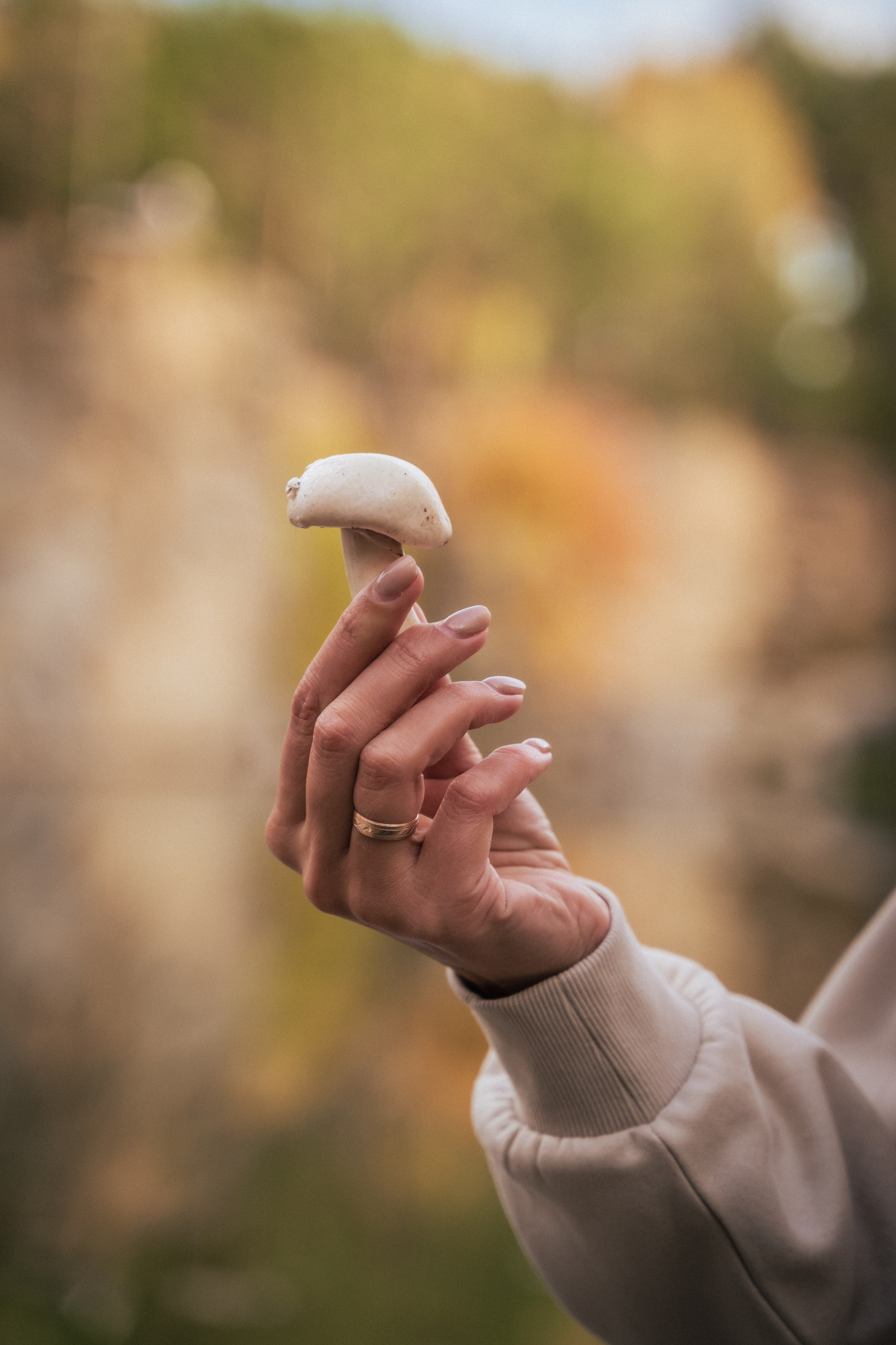 Сімейна фотосесія на природі біля Коростишівського карєру. Сімейний фотограф Київ Наталія Шкаврон