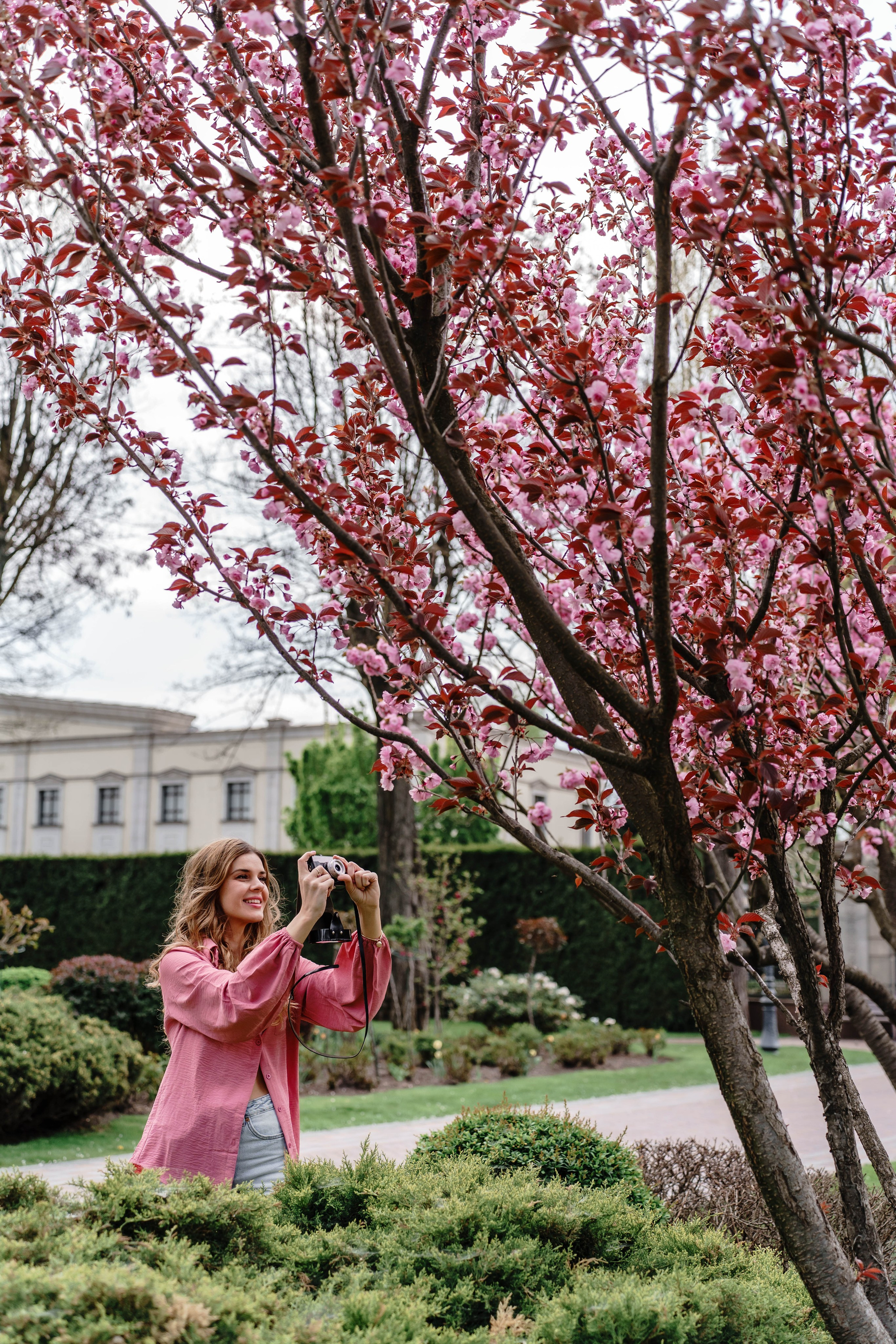 Фотосесія в сакурах. Family photographer in Kiev Natalia Shkavron