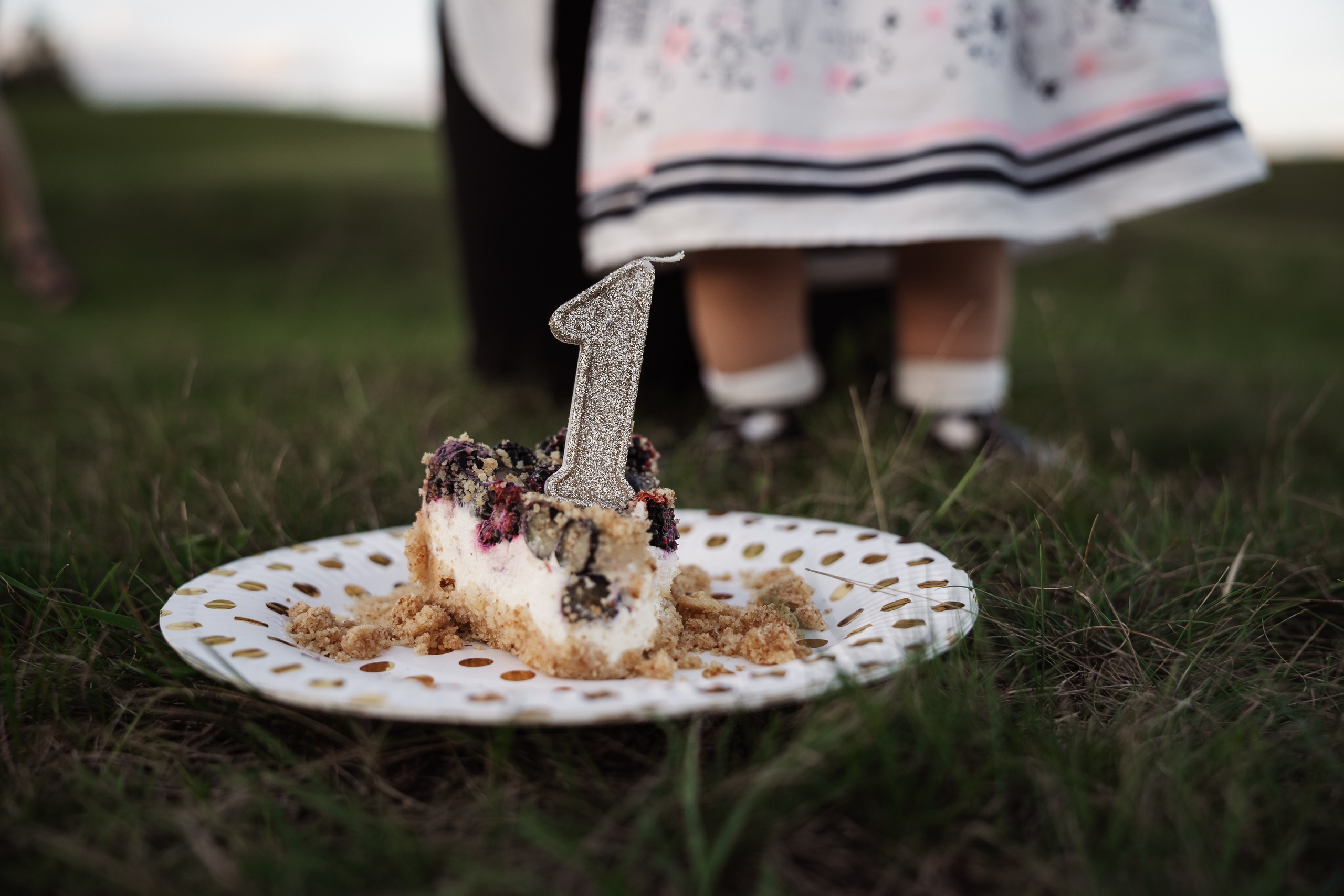 Святкування 1-го дня народження на овечій фермі. Family photographer in Kiev Natalia Shkavron