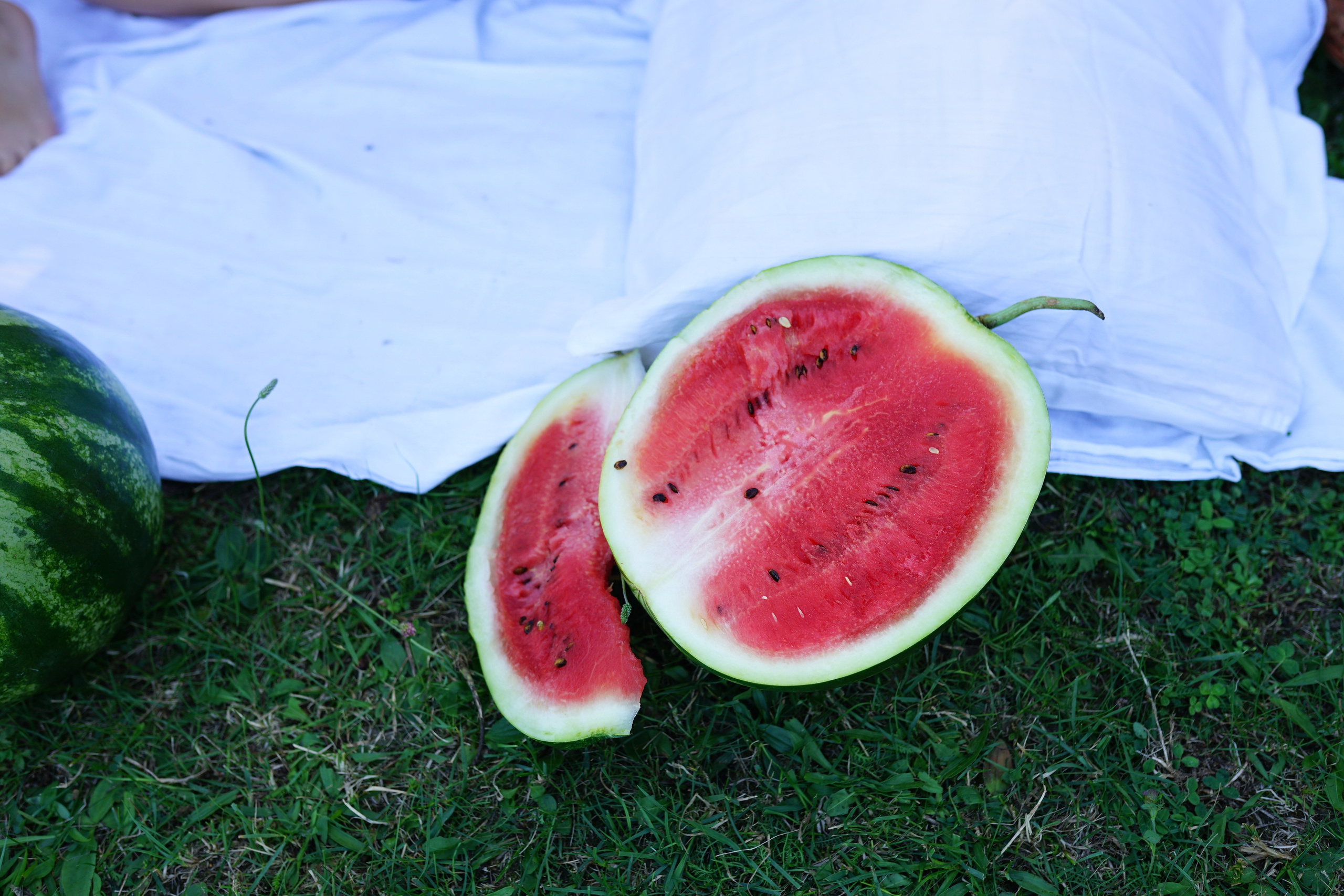 Сімейна фотосесія з кавунами. Family photographer in Kiev Natalia Shkavron