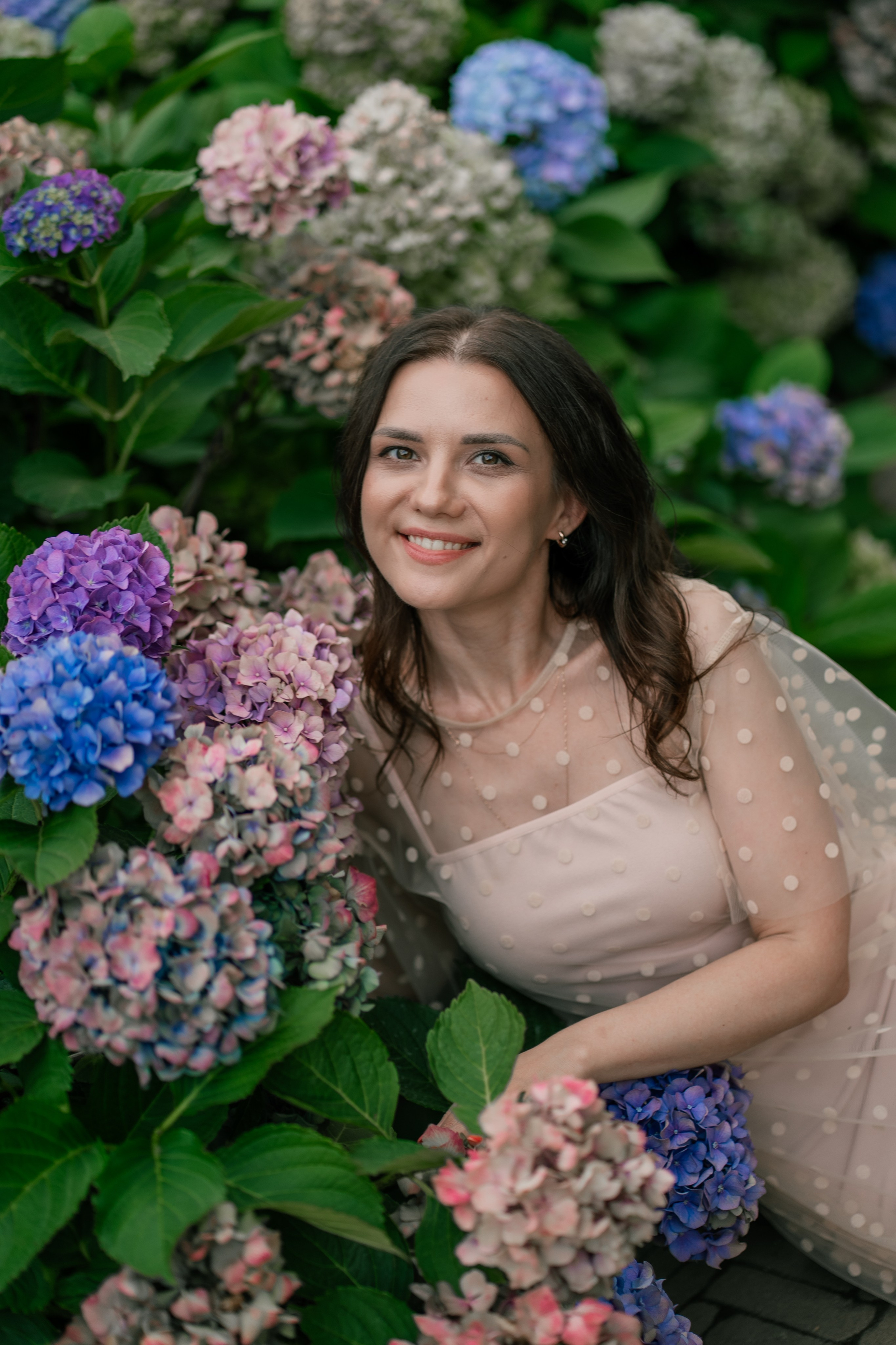 Фотосеся індивідуальна в гортензіях. Сімейний фотограф Київ Наталія Шкаврон