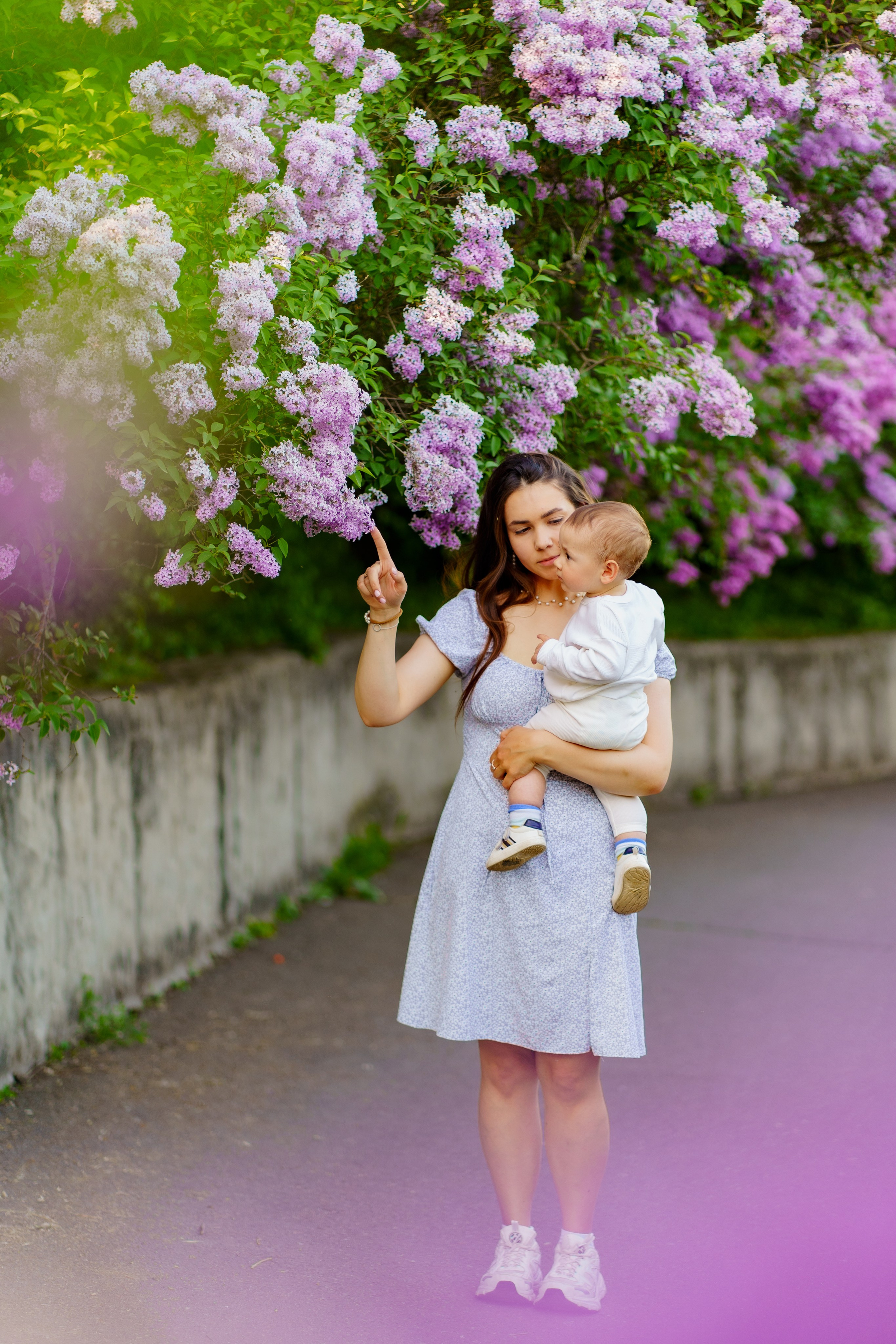 ботанічний сад київ бузок, фотосесія в бузку київ, фотограф київ, сімейний фотограф київ, фотосесія в бузку, фотосессия в сирени