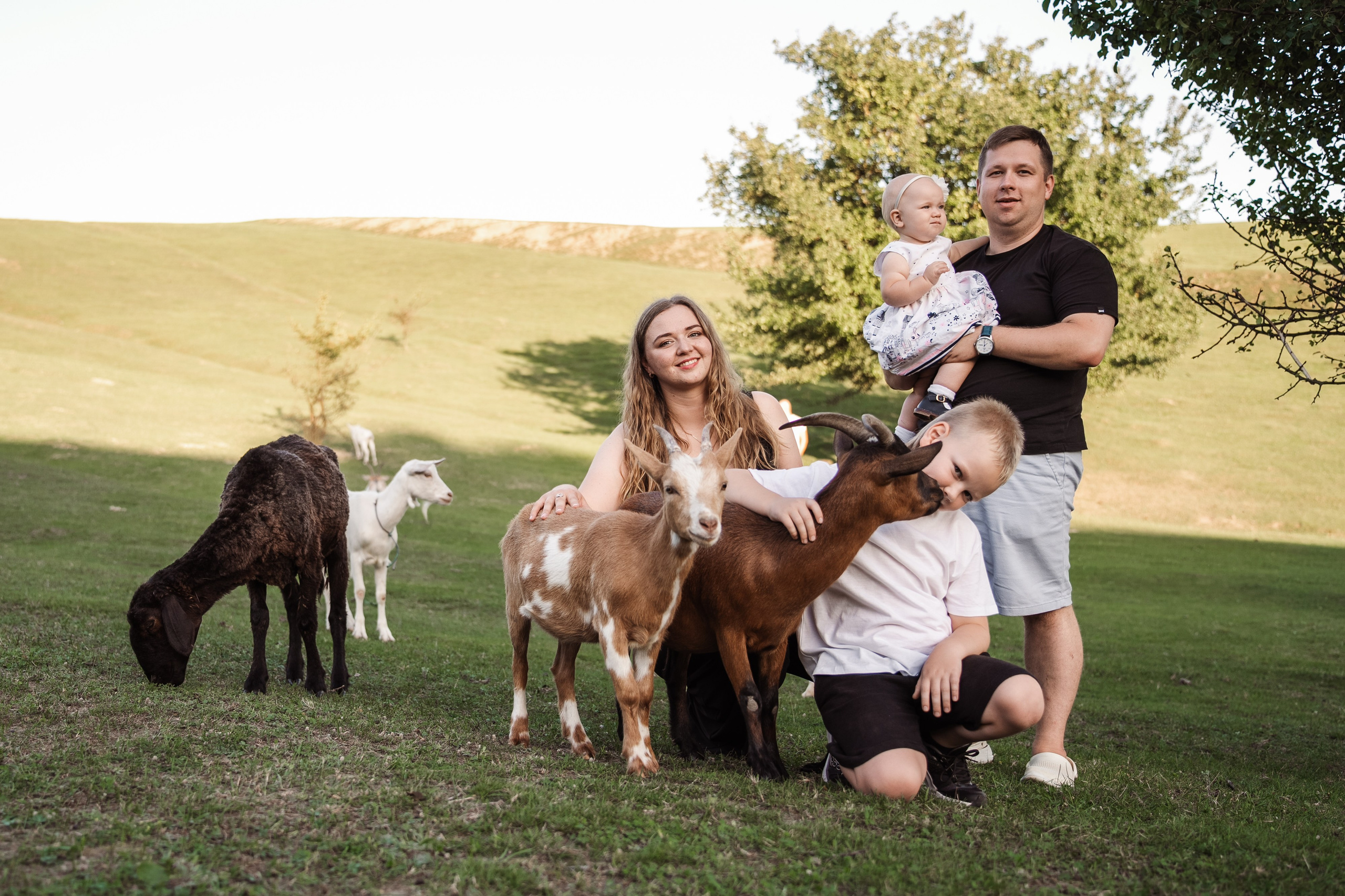 Святкування 1-го дня народження на овечій фермі. Family photographer in Kiev Natalia Shkavron