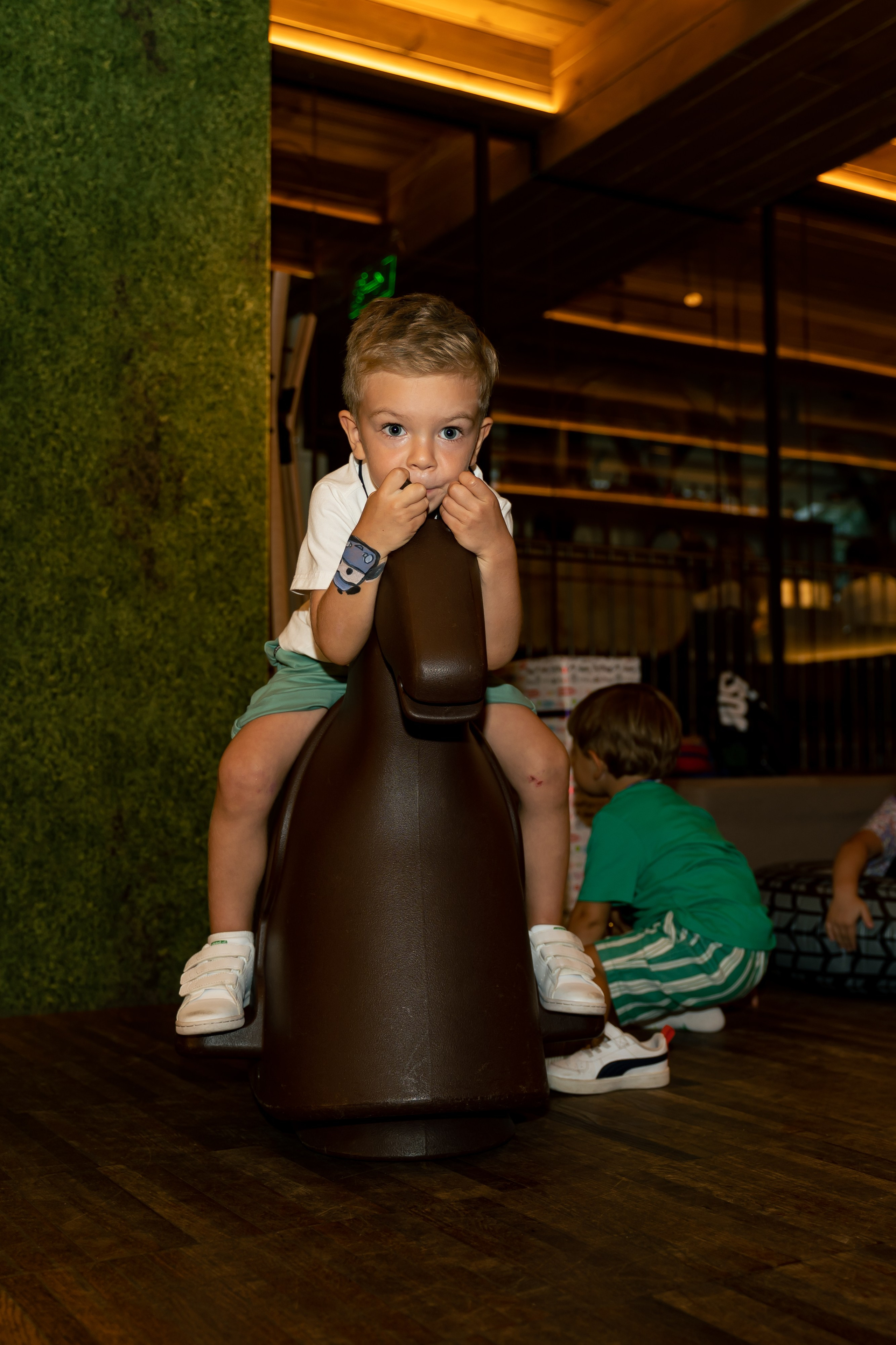 День народження Картера. Сімейний фотограф Київ Наталія Шкаврон