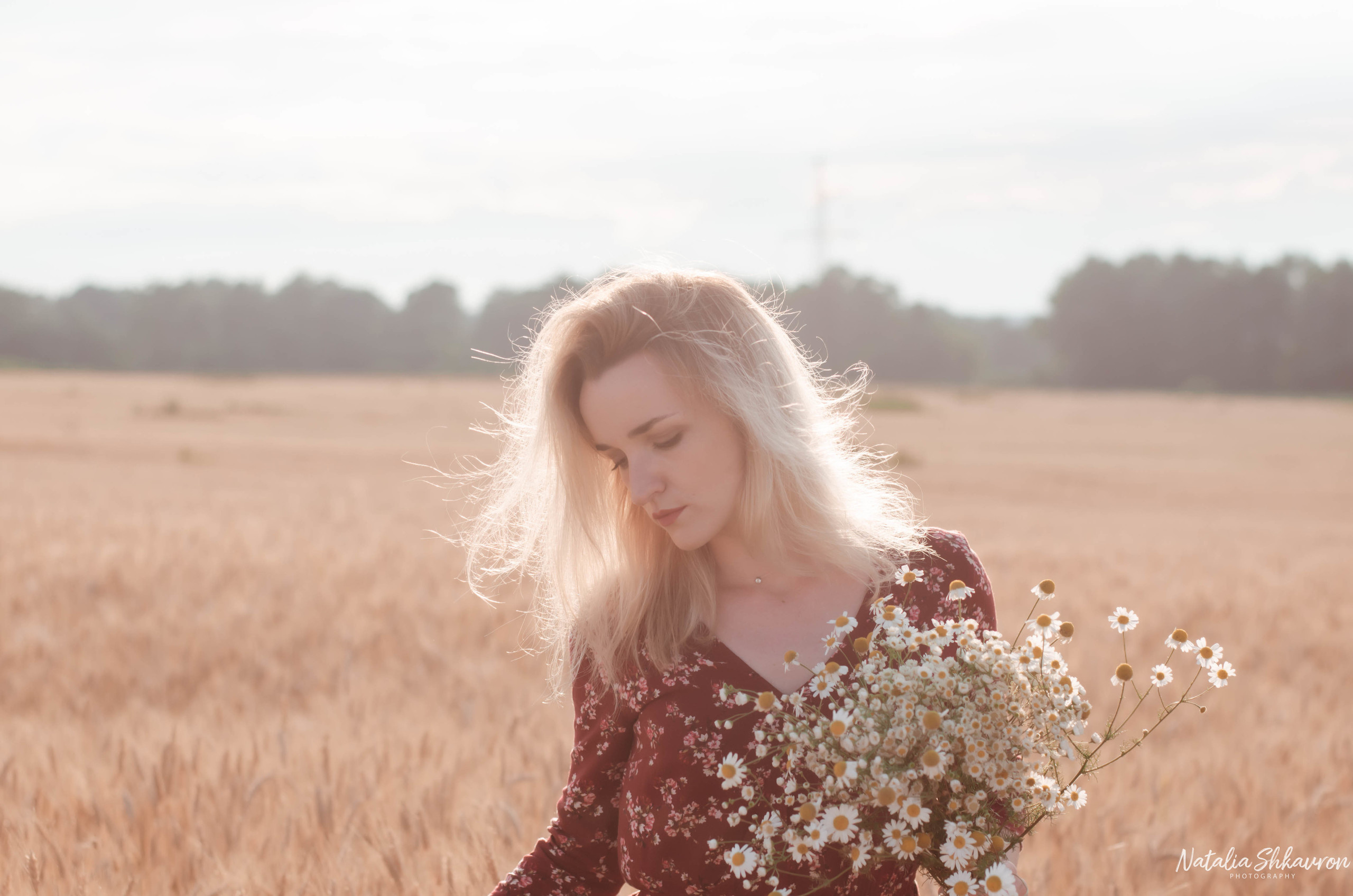 Індивідуальна фотосесія в пшениці. Сімейний фотограф Київ Наталія Шкаврон