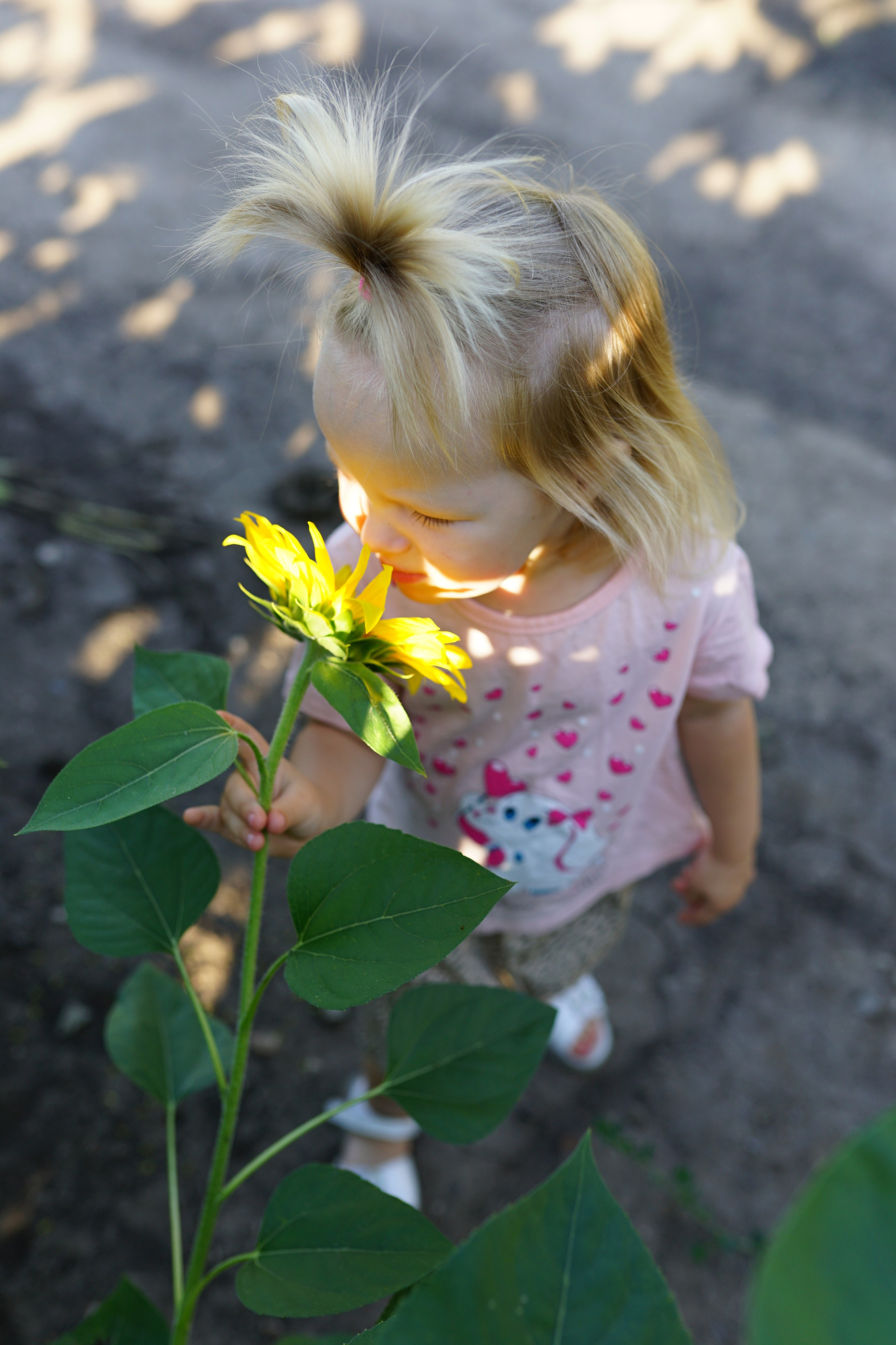 Сімейна фотосесія з кавунами. Family photographer in Kiev Natalia Shkavron