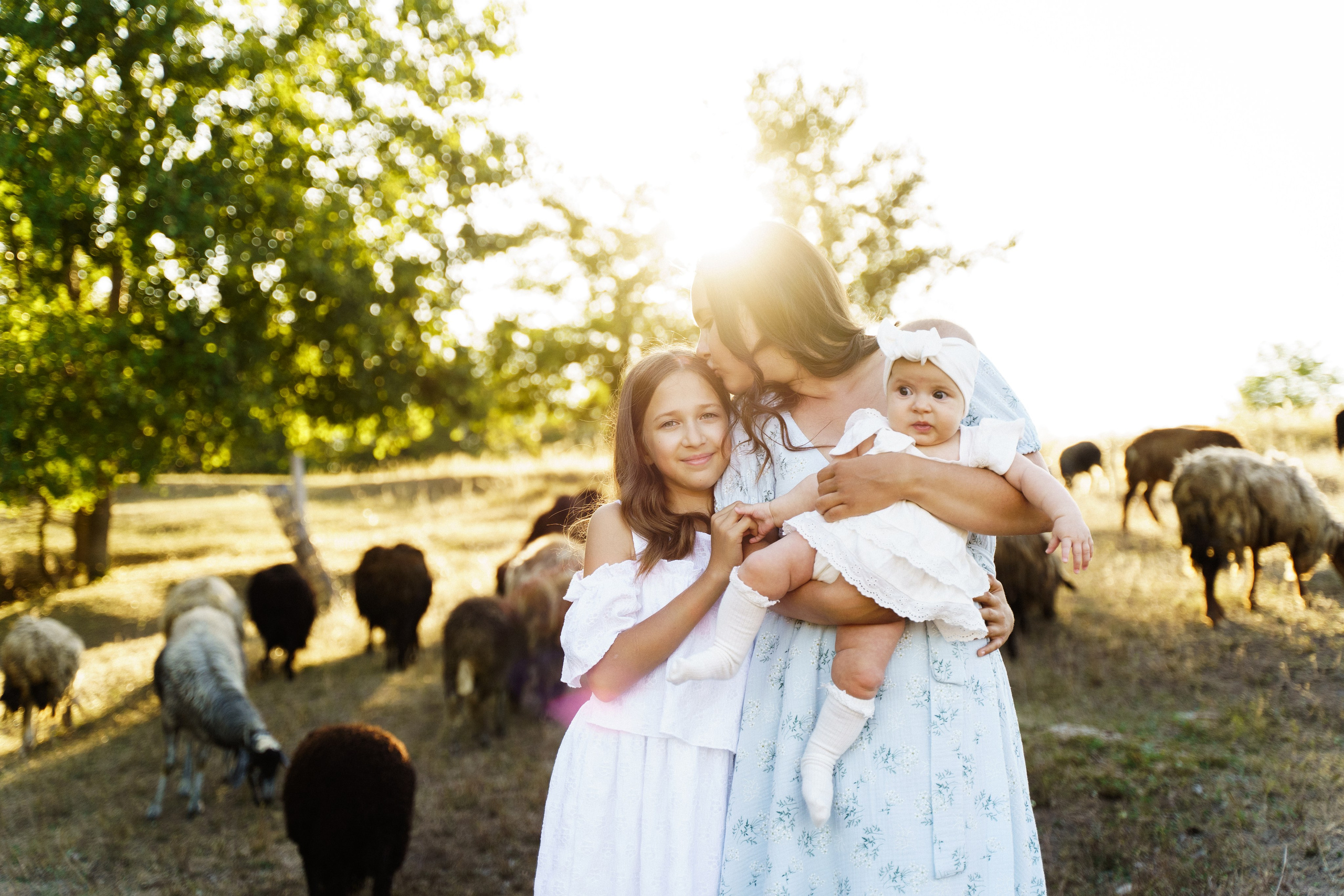 Сімейна фотосесія на Sheepland. Сімейний фотограф Київ Наталія Шкаврон
