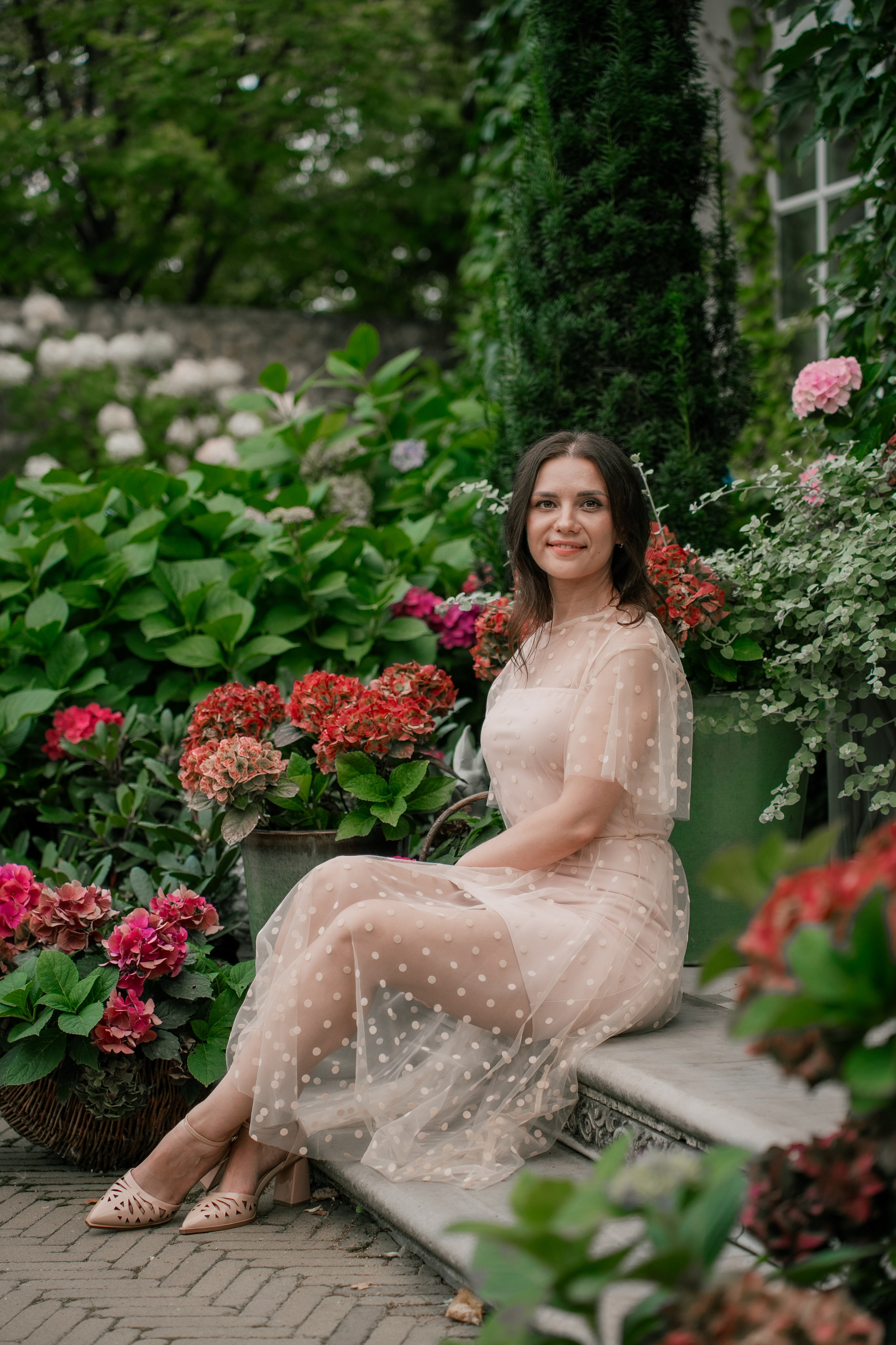 Фотосеся індивідуальна в гортензіях. Сімейний фотограф Київ Наталія Шкаврон