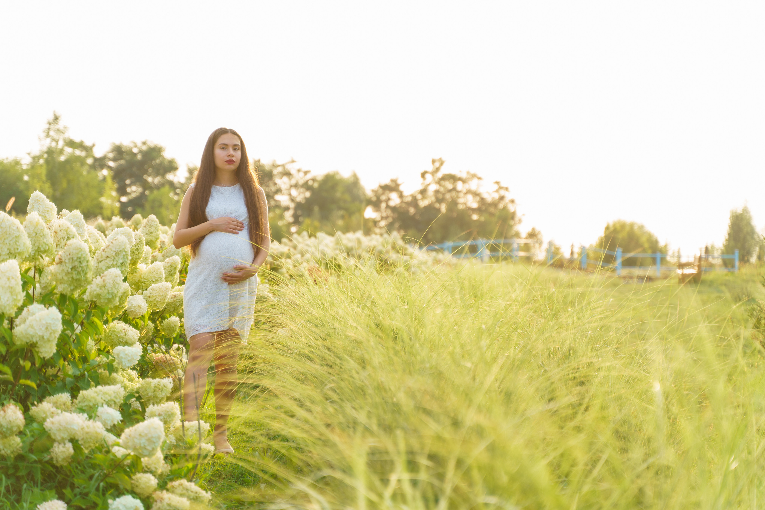 фотограф київ, сімейний фотограф київ, фотосесія вагітності, фотограф для вагітних,  фотосесія в гортензіях, 