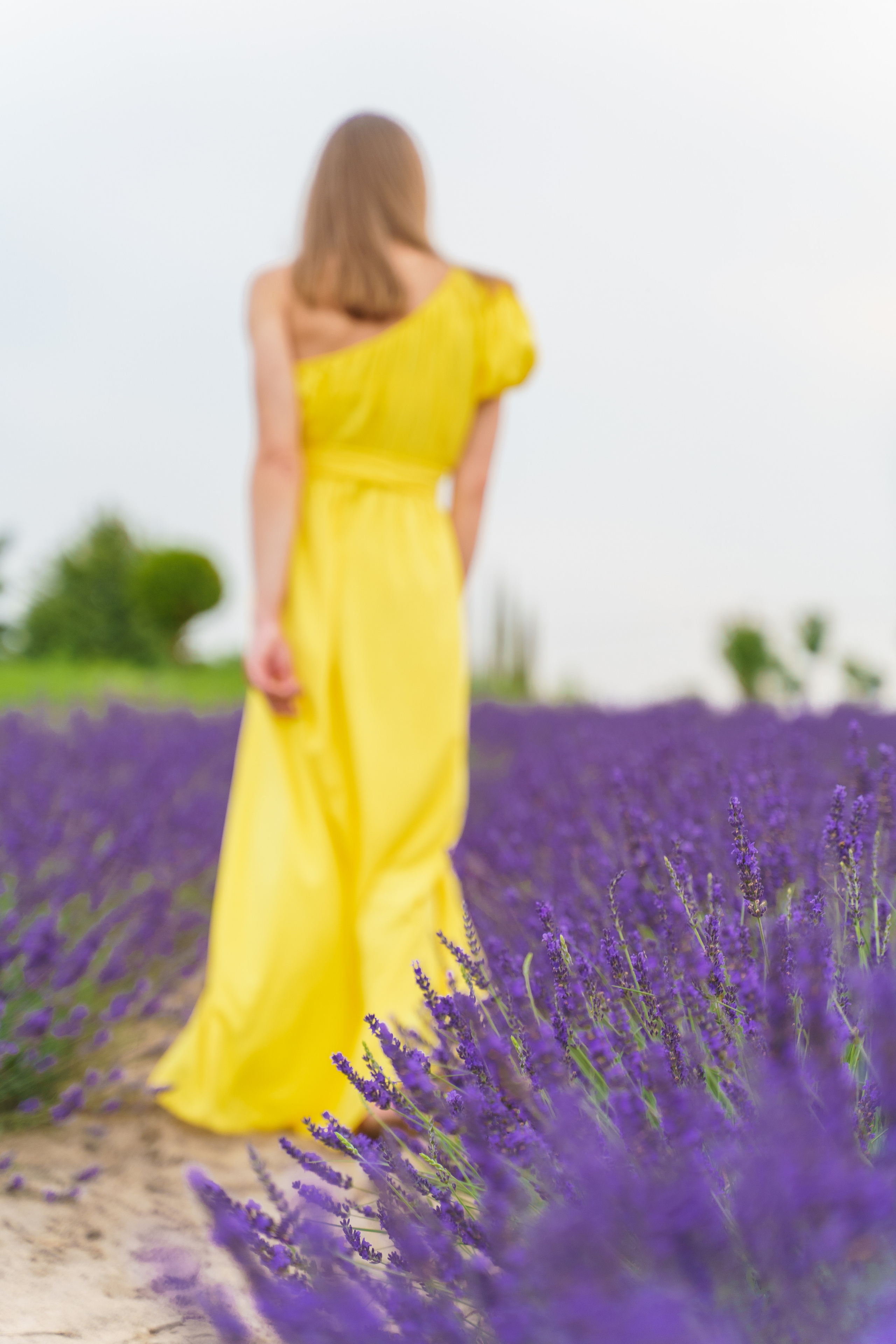 Фотосесія в лаванді у Добропарку. Family photographer in Kiev Natalia Shkavron