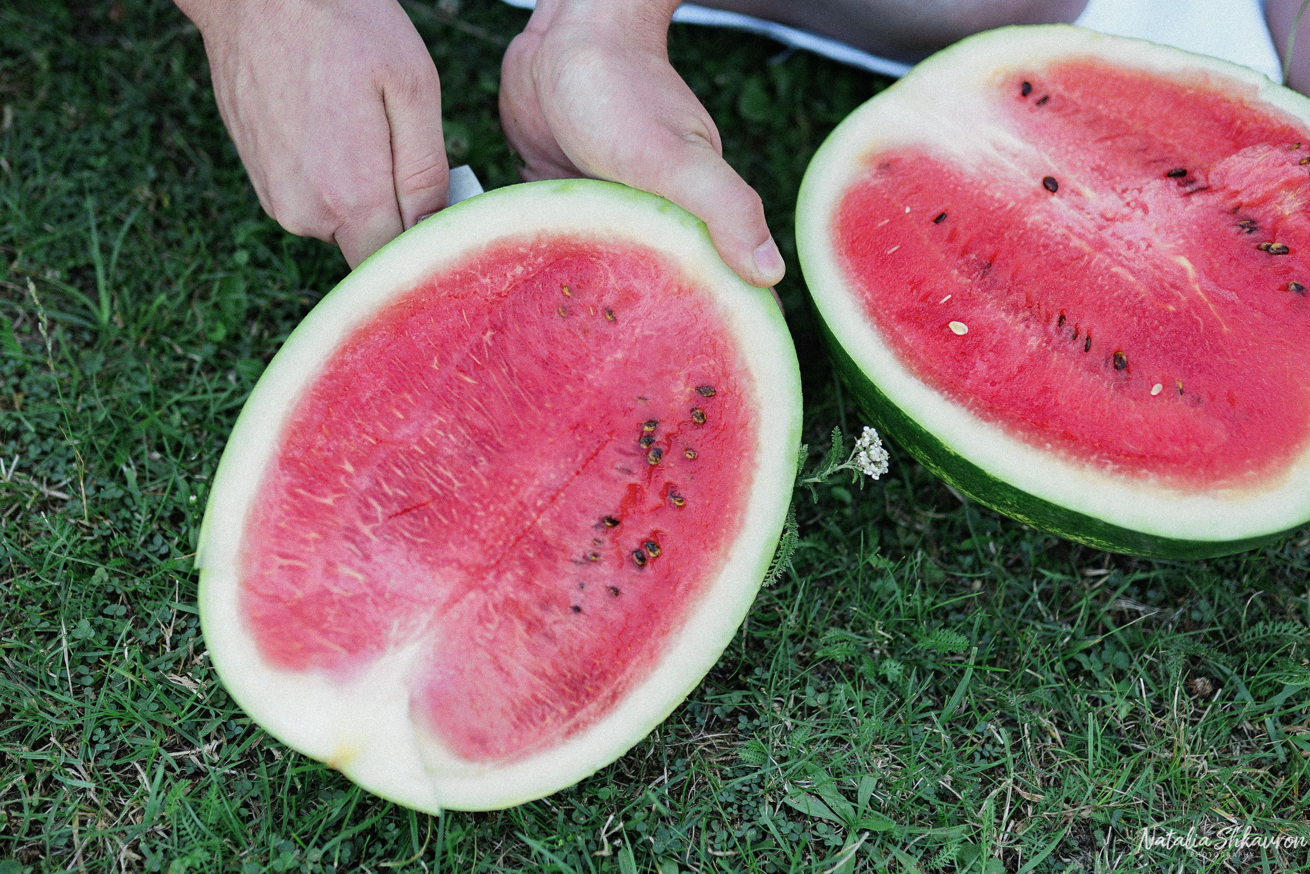 Сімейна фотосесія з кавунами. Family photographer in Kiev Natalia Shkavron