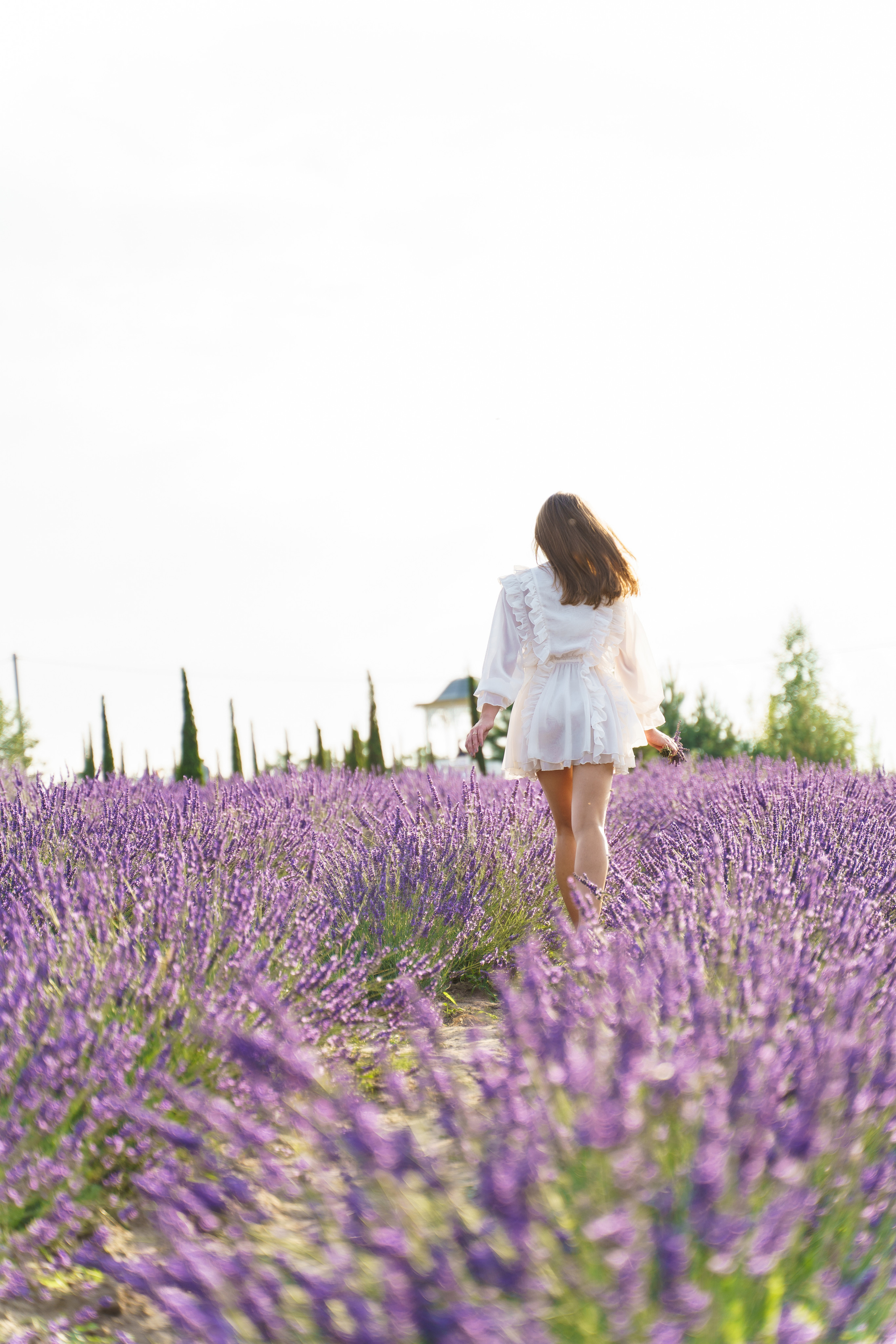 Фотосесія в лаванді у Добропарку. Family photographer in Kiev Natalia Shkavron