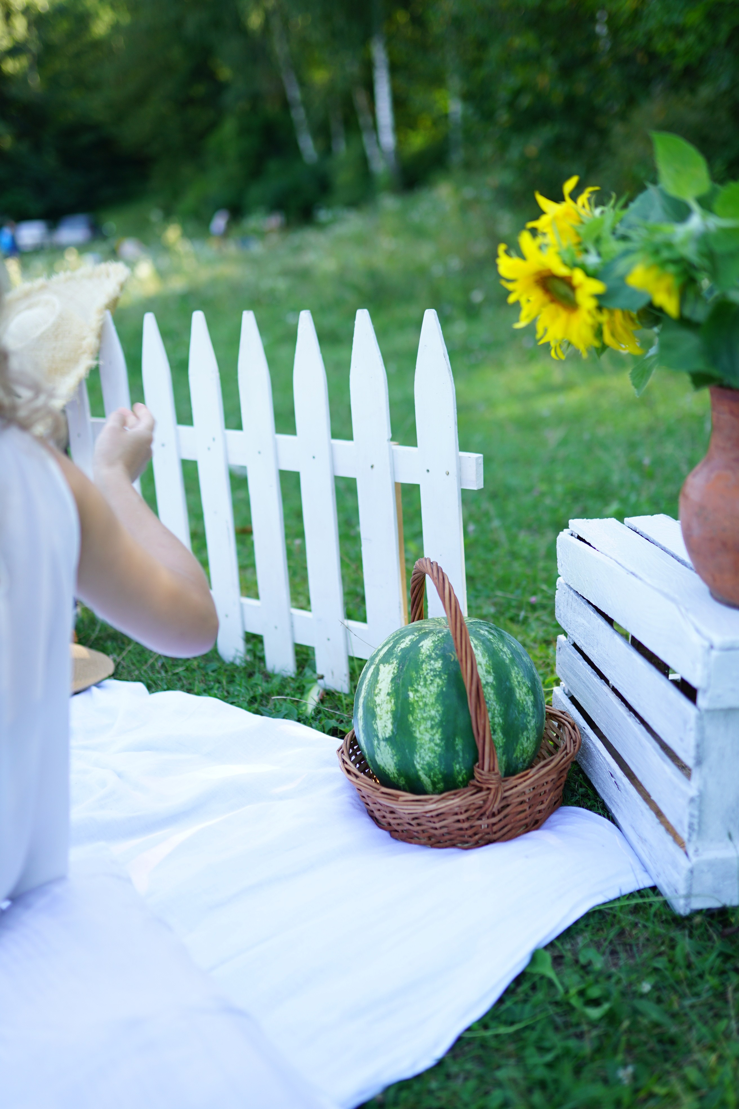 Сімейна фотосесія з кавунами. Family photographer in Kiev Natalia Shkavron