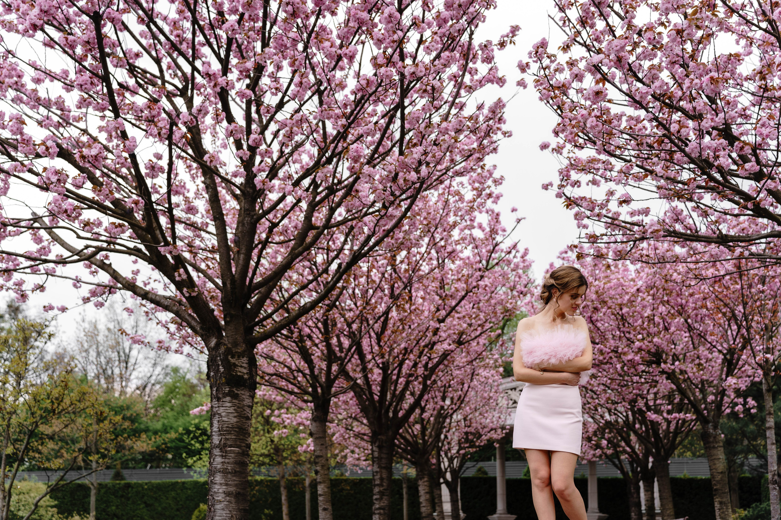 Фотосесія в сакурах. Family photographer in Kiev Natalia Shkavron