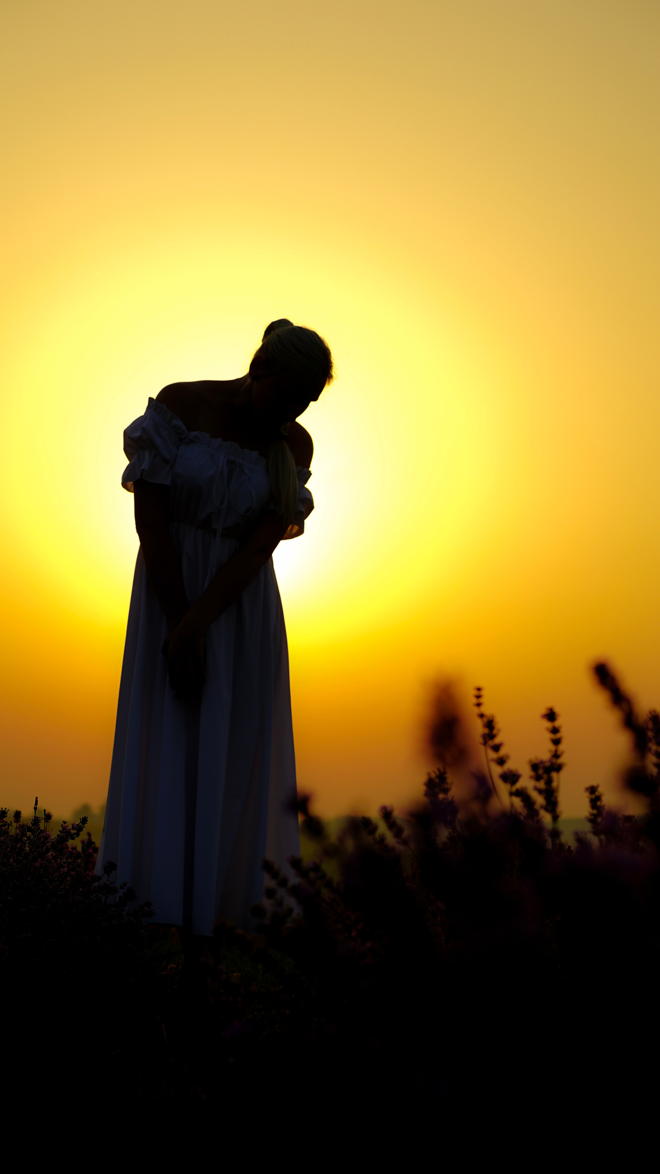 Фотопроєкт Лавандові історії в Городку