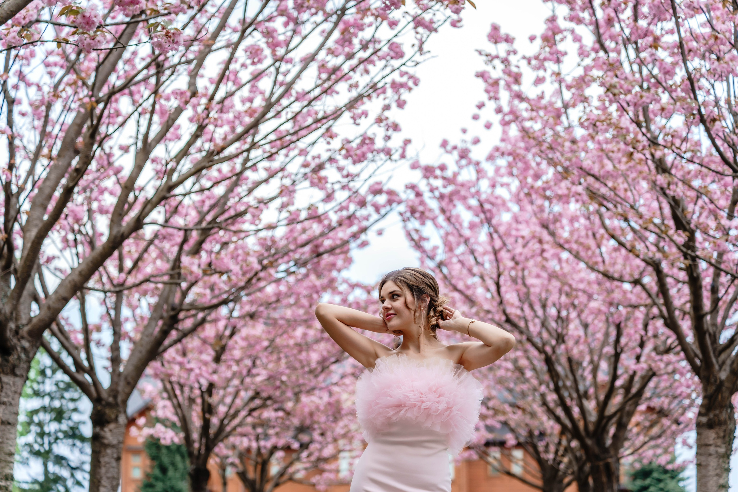 Фотосесія в сакурах. Family photographer in Kiev Natalia Shkavron