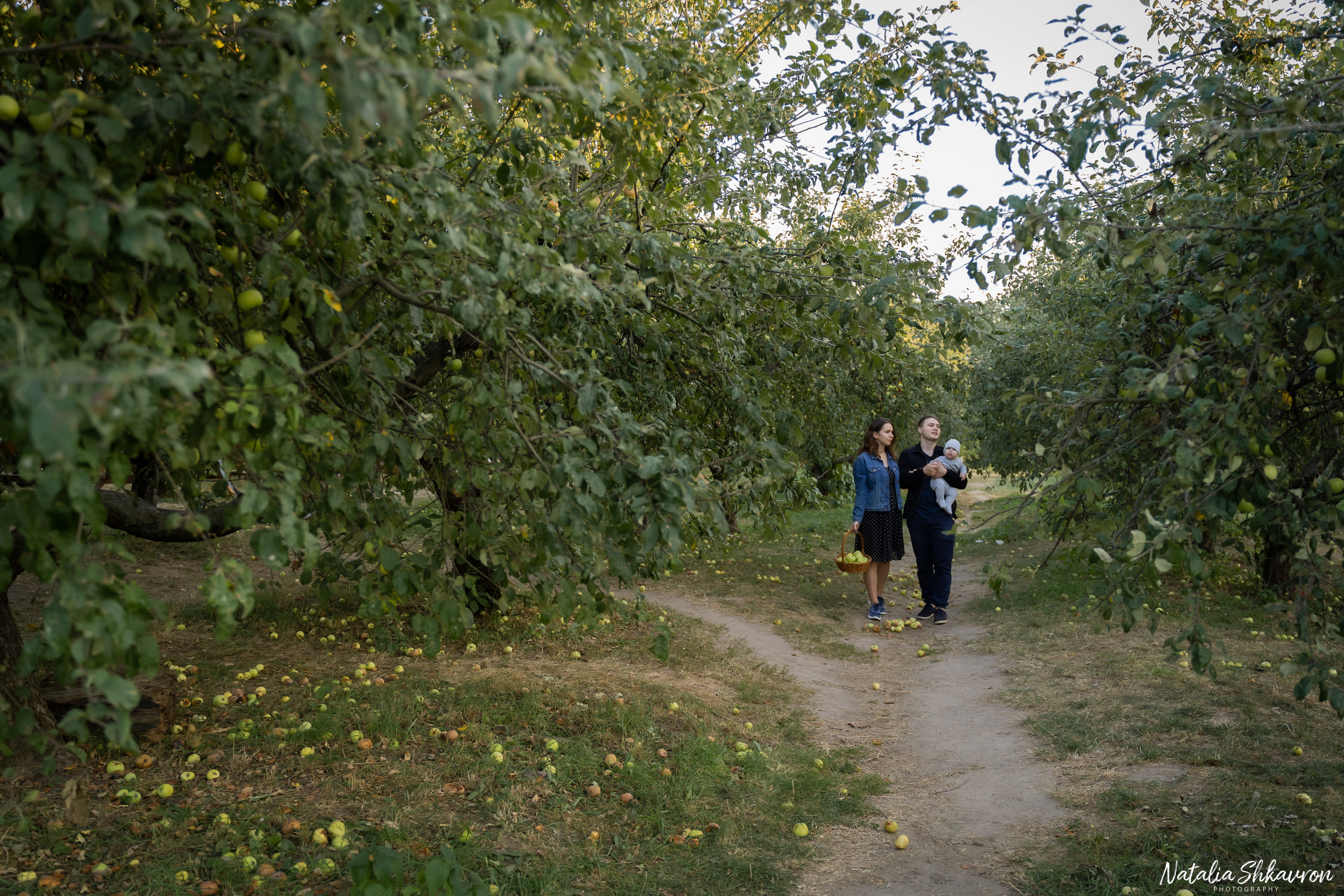Сімейна фотосесія в яблуневому саду. Сімейний фотограф Київ Наталія Шкаврон