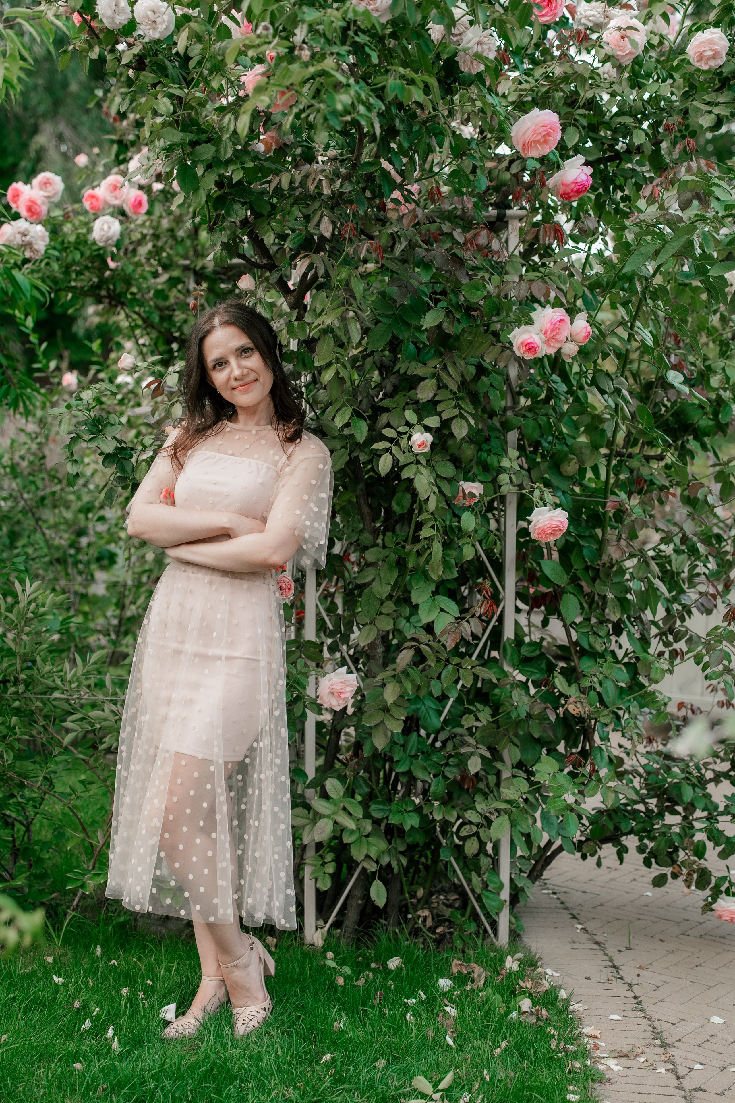 Фотосеся індивідуальна в гортензіях. Сімейний фотограф Київ Наталія Шкаврон